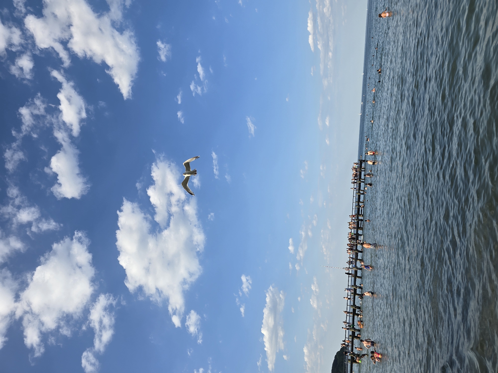 This is a vertical, eye-level photograph taken on a sunny day at the Travemünde beach in Lübeck, Germany. The sky is a clear blue with scattered white cumulus clouds, and a single seagull is captured mid-flight in the upper center of the frame. In the middle ground, a long wooden pier stretches across the water, crowded with people standing and walking. The water in the foreground is a deep blue with small ripples and a few people are visible wading or swimming near the shore. The overall scene depicts a vibrant summer day at a popular beach destination.