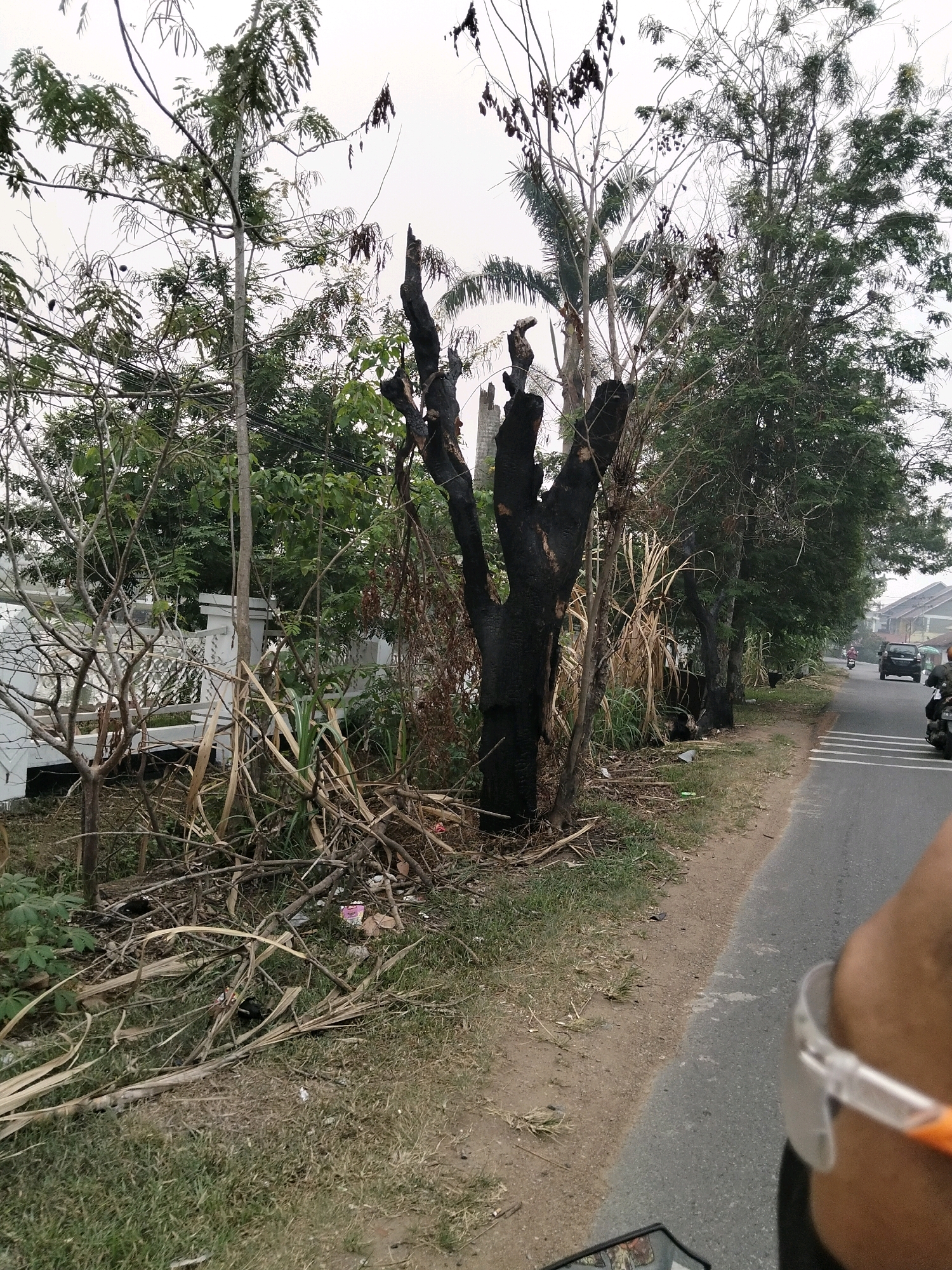 In Sungai Raya, Indonesia, a burnt tree stands near a road. The tree's trunk is blackened, and its branches are bare and jagged. To the left of the tree, a white decorative wall with intricate patterns can be seen. The ground is covered in dry grass and fallen branches, with some litter scattered around. Further down the road, several trees with green foliage line the roadside, and a black car is driving away from the camera. In the foreground, a person wearing safety glasses is partially visible, appearing to be riding a motorcycle. The sky is overcast.