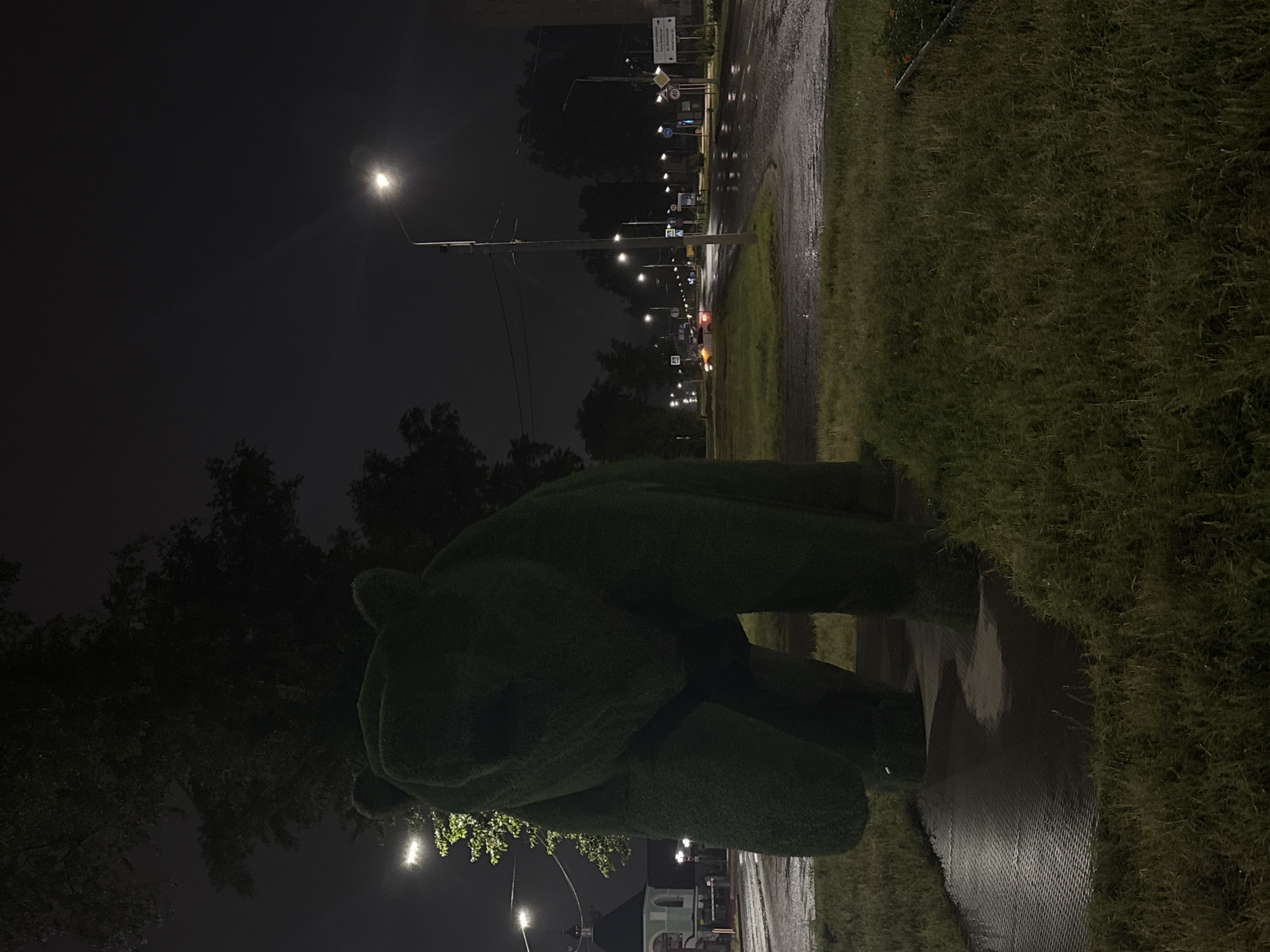 The image depicts a nighttime scene in the city of Chaikovsky, Russia, characterized by wet surfaces indicative of rain or recent rainfall. In the immediate foreground, a large, dark green topiary sculpture of a bear stands on a wet, paved base, surrounded by unkempt grass and puddles. The bear faces slightly towards the right. To the left of the bear, in the midground, a light-colored building with a green, domed roof and a cross, consistent with a chapel or church, is partially visible and illuminated by streetlights. A white barrier is present in front of this building. To the right, a wet asphalt road curves into the distance, reflecting the bright artificial light from numerous streetlights mounted on tall poles. Several vehicles with illuminated lights are visible on the road in the background. Various road signs, including a "40" speed limit sign and directional signs with Cyrillic text, are present alongside the road. The sky is dark, and no individuals are visible.