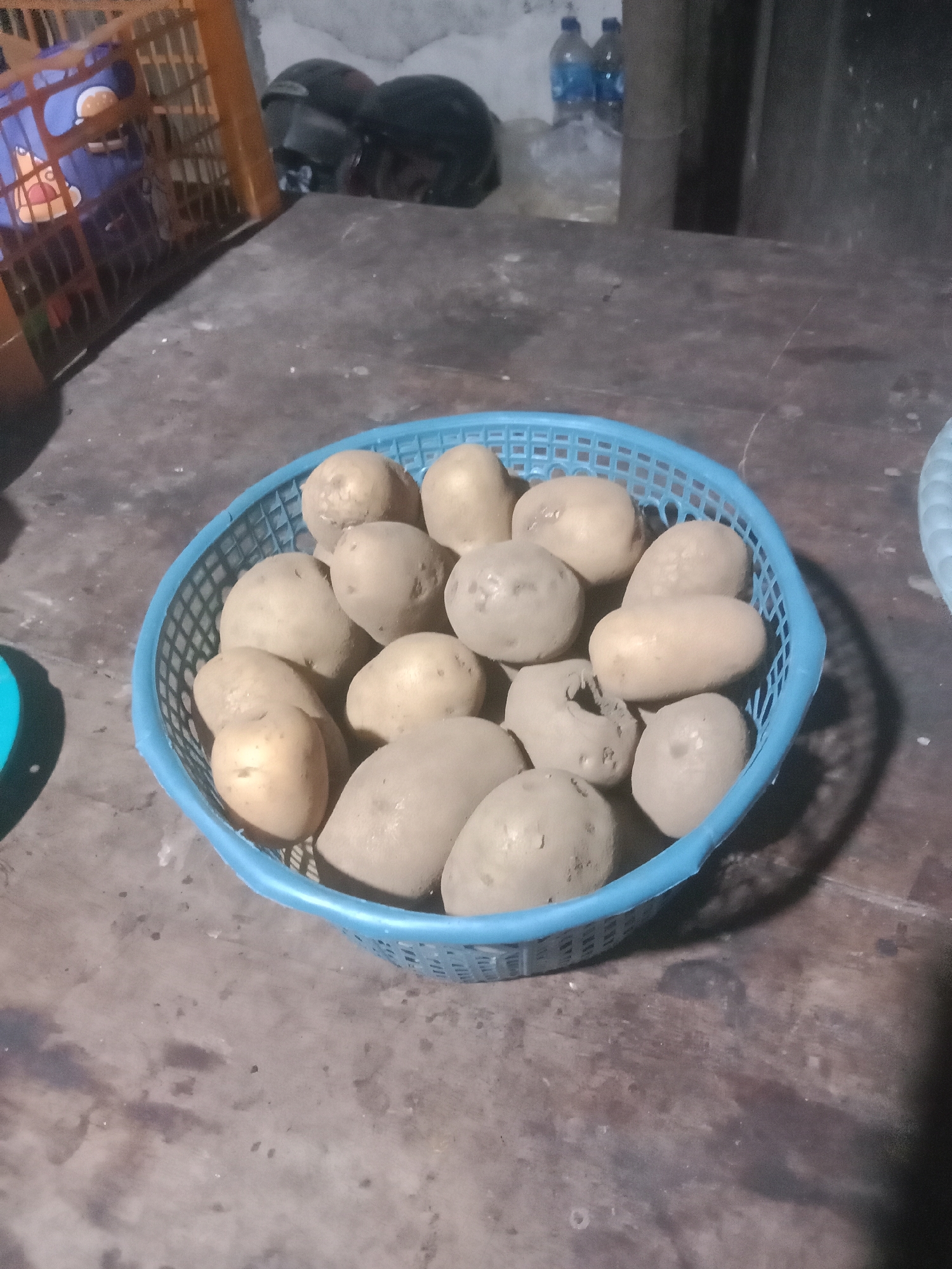 A blue plastic basket containing approximately 20 potatoes sits on a dark, weathered wooden surface. The potatoes are various sizes and shapes, with light brown skin. In the background, two black helmets are visible, along with a portion of an orange plastic crate with a blue stuffed toy inside. Two blue plastic bottles of water are also present. The environment appears to be an indoor storage area or shed, possibly in Kedungsari, Indonesia, given the context. The lighting is dim, suggesting it may be evening or the area is not well-lit.
