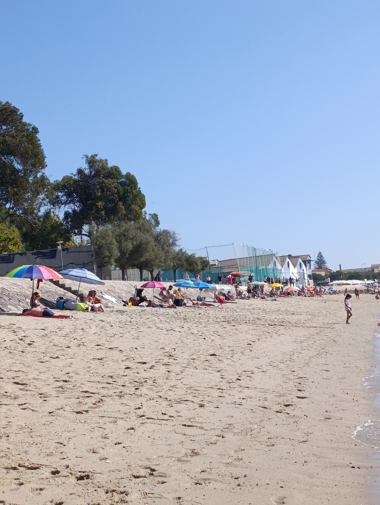 This is an eye-level, wide shot of a sandy beach on a sunny day, likely the Praia da Saúde in Setúbal, Portugal, given the presence of the distinctive waterfront buildings with red-tiled roofs and the adjacent sports facilities. The sky is clear and blue.
In the foreground, the sand is textured with footprints and small ripples from the receding tide. A few people are sunbathing or relaxing on towels and loungers. To the left, under a rainbow-colored umbrella, two individuals are seated, and another person lies on a red towel. Beside them, under a blue and white striped umbrella, two people are lying down, one in yellow and the other in an orange top.
Further down the beach, a crowd of people is gathered. Many are under colorful beach umbrellas, some standing, some sitting or lying down. Behind the beachgoers, a stone wall is visible, topped by a row of trees. Beyond the trees, several white buildings with gabled roofs, reminiscent of beach huts or changing rooms, are situated. A sports field with netting is partially visible behind these buildings. The sea is at the far right of the image, with a gentle wave lapping at the shore. A single young girl in a white top and shorts stands on the sand near the water's edge, facing away from the camera.