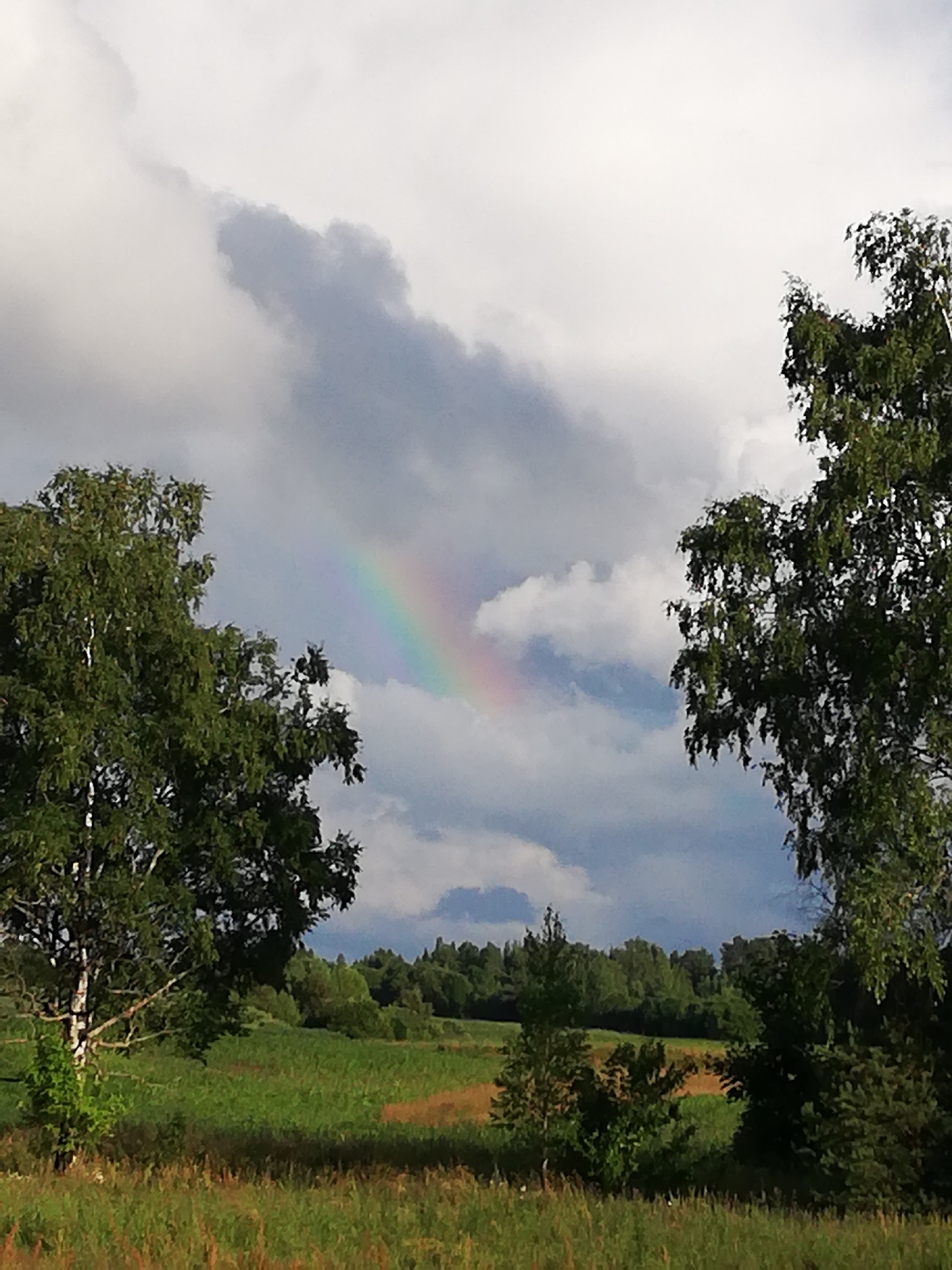 A partially visible rainbow arches across a cloudy sky above a rural landscape. In the foreground, the tops of two large trees with green foliage frame the scene, one on the left and another on the right. The landscape below consists of fields with green grass and some dry, golden vegetation. A dense line of trees forms the background, with a distant treeline under a grey, overcast sky. The image appears to have been taken during daylight hours, possibly after or during a rain shower, given the presence of the rainbow and clouds. There are no people or specific structures visible in the image. The location is stated as Новапагосцкі сельскі Савет, Belarus.