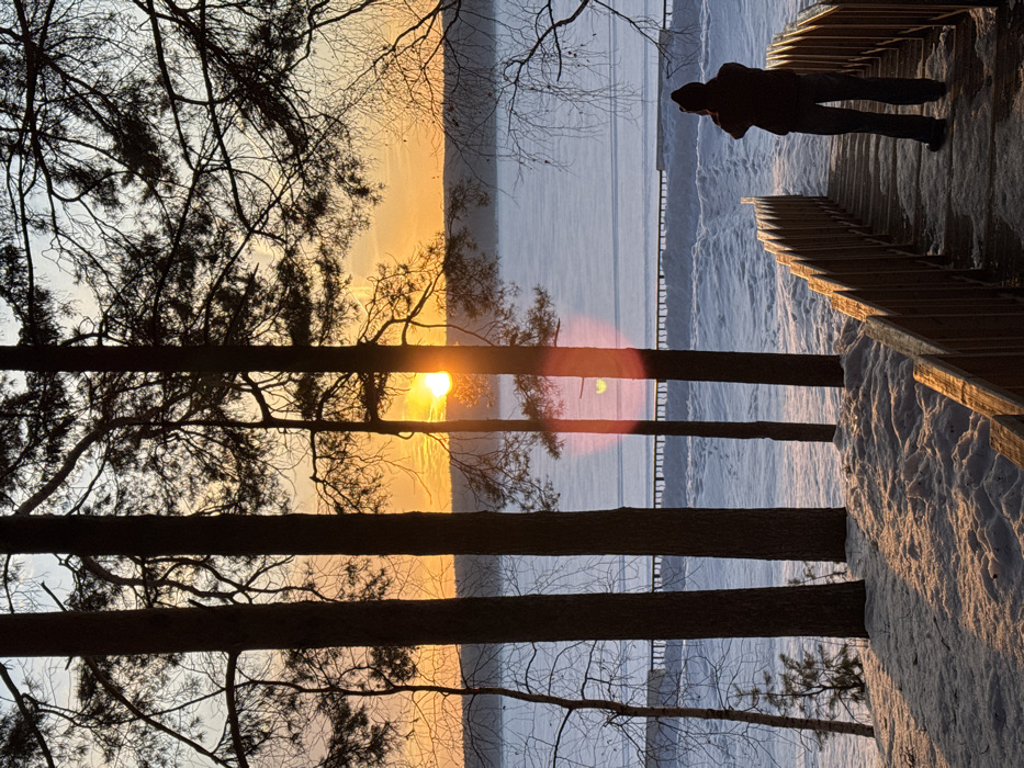 The image captures a winter scene at sunrise or sunset in Chaikovsky, Russia. In the lower right, a solitary individual, viewed from behind and dressed in dark winter clothing, stands on a descending wooden stairway with railings. The stairs and surrounding ground are covered in fresh snow, illuminated by the low sun. Several tall, dark-trunked pine trees stand vertically in the midground, their branches silhouetted against the sky. Between these trees, a bright golden sun is visible low on the horizon, partially obscured by a tree trunk, casting a strong orange glow and lens flare. Beyond the trees, a vast body of water is entirely covered in a thick layer of ice and snow, stretching horizontally across the frame. A linear, low-profile structure, resembling a barrier or edge of a pier, extends across the frozen water in the mid-distance. The sky above is clear, transitioning from a warm orange at the horizon to a lighter blue.