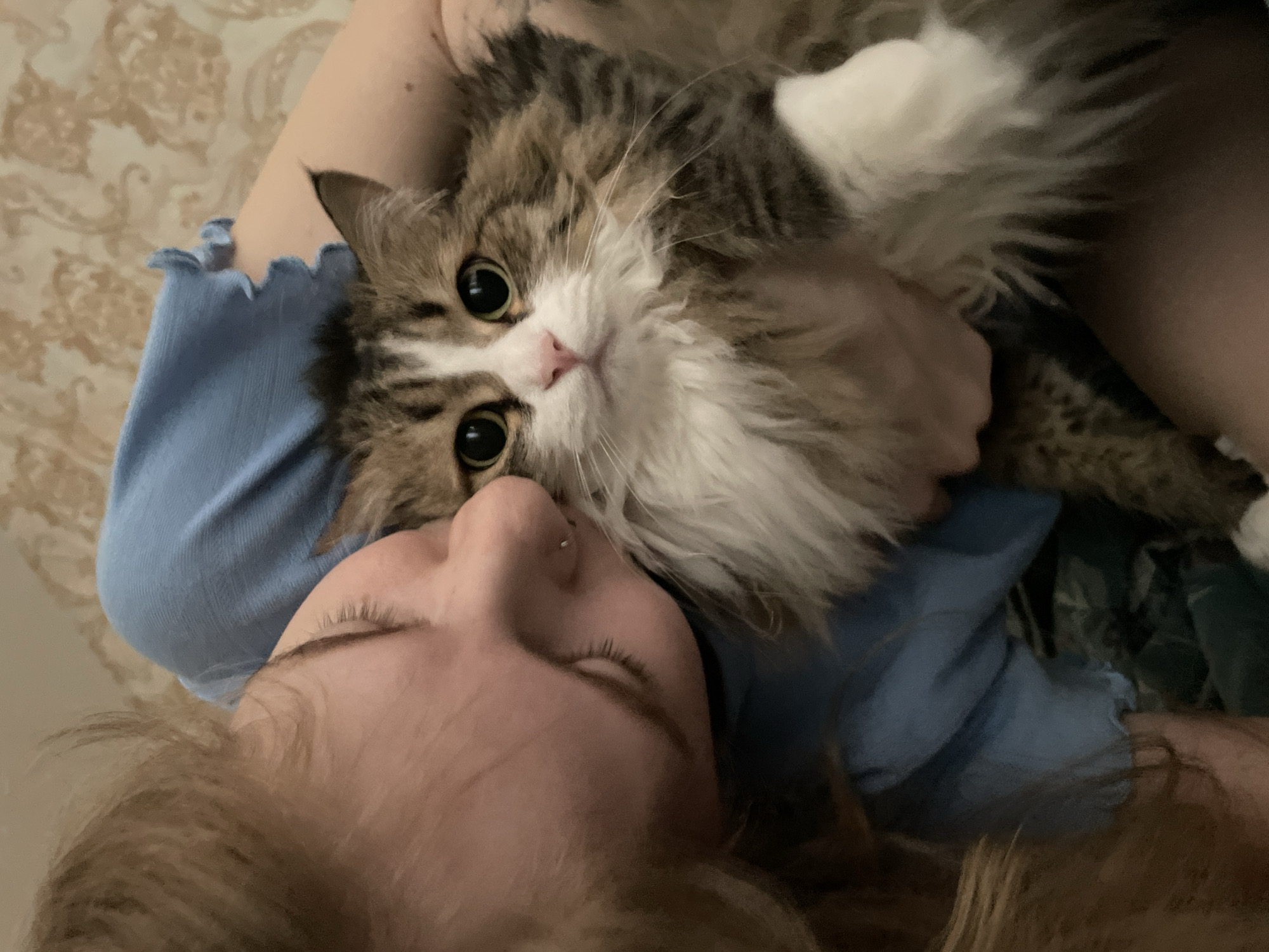 A woman lies on her back with a long-haired tabby and white cat lying on her chest. The woman has blonde hair, closed eyes, and a nose piercing. She is wearing a light blue, ruffled shirt. The cat has large, round eyes and a pink nose. The background is a textured, light-colored surface. The location in the city of Izhevsk, Russia, is not discernible from the image.