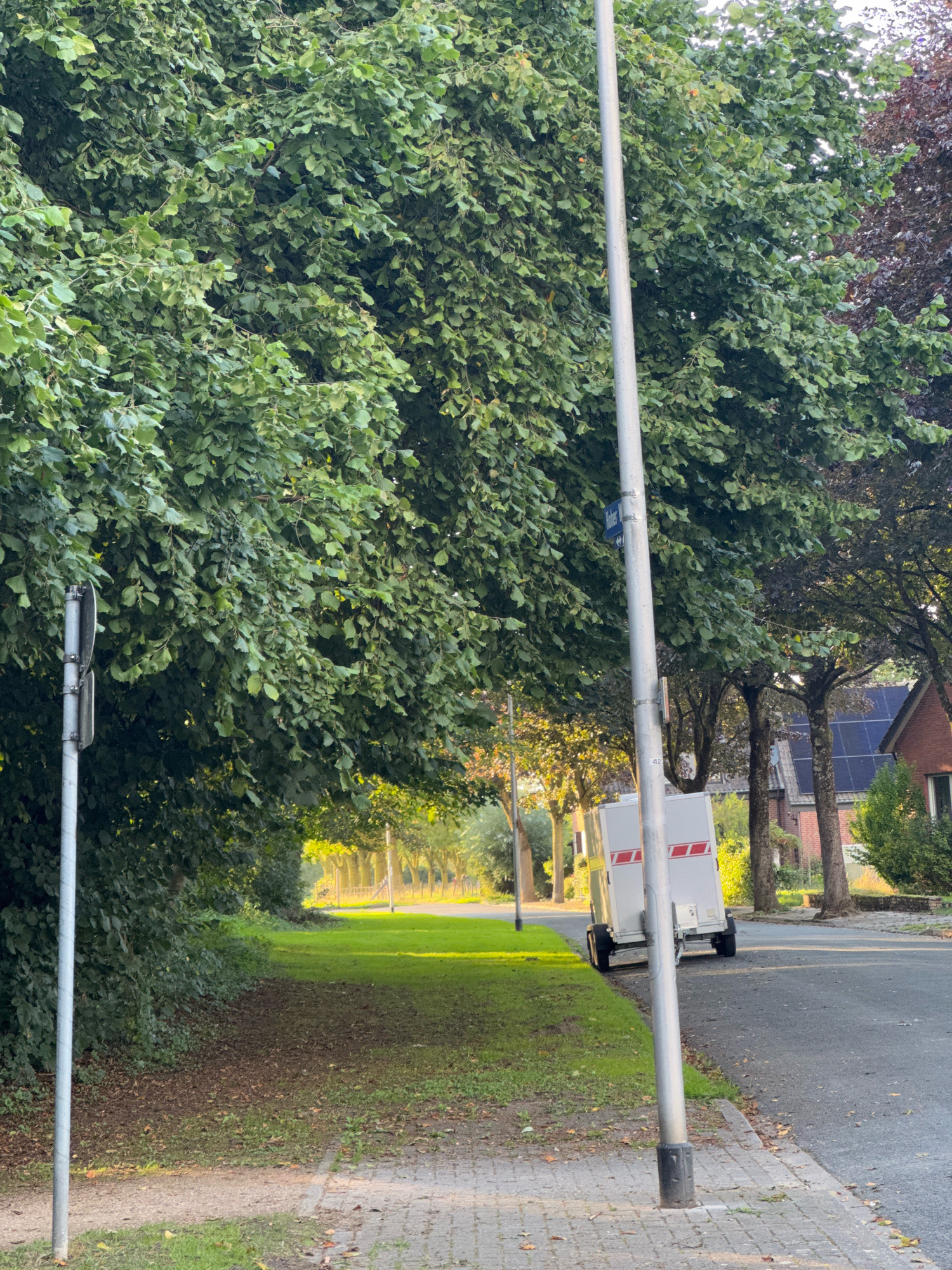 The image captures a street scene in Cleves, Germany, characterized by dense foliage and a paved walkway. A tall, silver-colored street lamp stands prominently in the foreground, its base rooted near the edge of the walkway. The walkway itself is constructed of grey cobblestones and is bordered by a strip of grass. To the left, a large tree with lush green leaves overhangs the walkway, partially obscuring a street sign attached to the lamp post. Further down the street, a small white trailer with red stripes is parked on the right side of the road. The road surface is asphalt. Beyond the immediate street area, a well-maintained grassy area is visible, leading towards a line of trees in the distance. Residential buildings, some featuring solar panels, are situated on the right side of the street, partially obscured by trees. The lighting suggests it is daytime, with sunlight filtering through the leaves, creating areas of bright illumination and shadow.