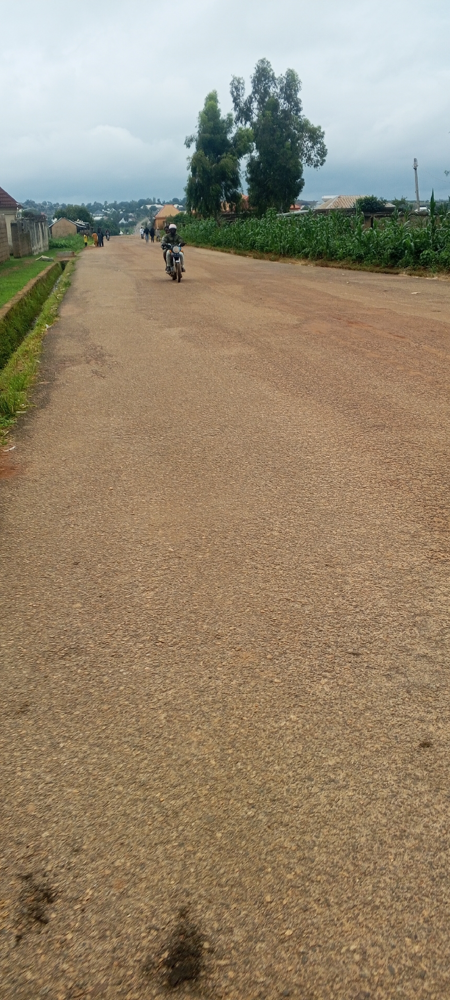 A person rides a motorcycle on a paved road in Bahit, Nigeria. The road is lined with green crops on the right and buildings and vegetation on the left. Several other people can be seen walking on the side of the road in the distance. The sky is overcast and cloudy.