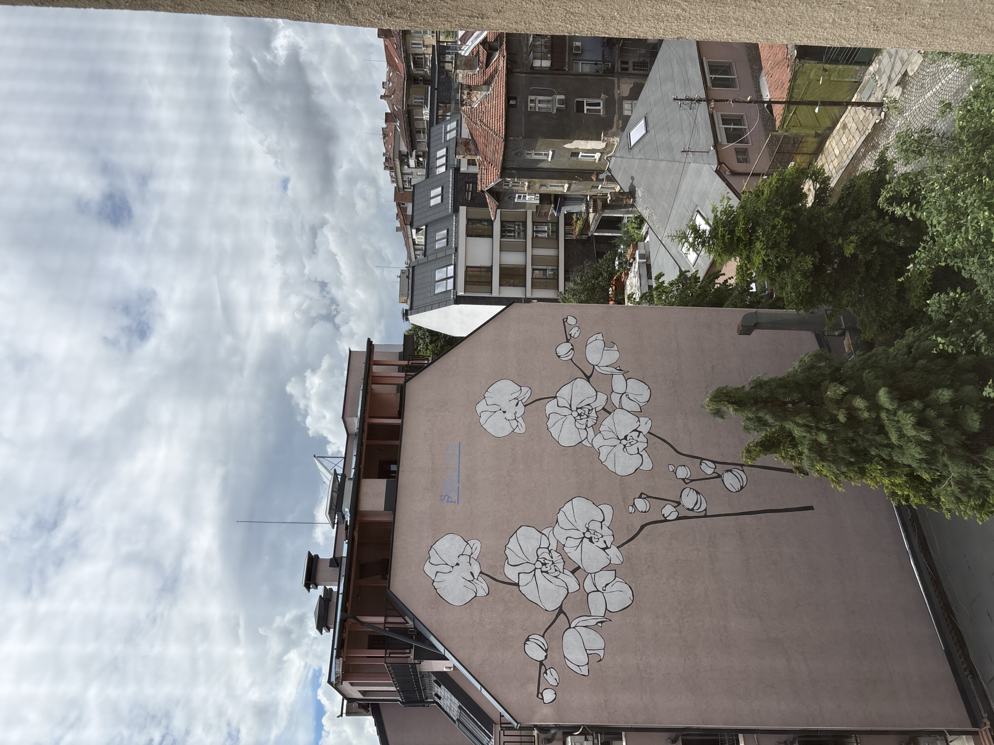 This image captures an urban landscape in Sofia, Bulgaria, from an elevated perspective, under a cloudy daytime sky. The scene is dominated by a large building in the foreground featuring a prominent wall mural.
The mural, rendered in white or light tones with dark outlines, depicts a sprawling branch of orchid flowers and buds against the building's light brown or pinkish-beige facade. The orchids vary in size and stage of bloom, creating an elegant, organic pattern. Faint blue text, appearing to spell "Sofia" (with the "Sf" clearly visible), is subtly incorporated into the mural above the central cluster of flowers.
Beyond this mural-adorned building, a dense array of other urban structures fills the background. These buildings exhibit a mix of architectural styles, including multi-story residential or commercial properties. Many have traditional red-tiled pitched roofs, while others feature flatter, more contemporary designs with various facade materials. Windows, balconies, and other architectural details are visible across these structures.
The sky, occupying the upper portion of the frame, is largely overcast with scattered white and grey clouds, though some brighter patches indicate diffused sunlight. Green trees and dense foliage are visible intermittently among the buildings, particularly near the mural and further in the distance, providing natural accents to the concrete environment. The overall impression is that of a bustling, lived-in city neighborhood.