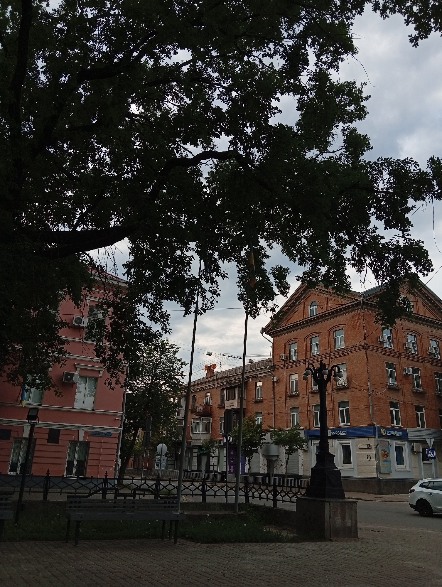 This image captures an urban street scene in Poltava, Ukraine, specifically on Sobornosti Street. The precise location is identifiable by the "КИМ АВIА" sign on the corner brick building and "ВУЛИЦЯ СОБОРНОСТІ" (Sobornosti Street) visible on the pink building.
The scene is dominated by the dark, silhouetted foliage of a large tree in the foreground, obscuring much of the sky and partially framing the buildings. The sky is overcast with a uniform grey cloud cover.
In the lower foreground, a paved pedestrian walkway with a herringbone pattern is visible, leading to a dark grey metal park bench with horizontal slats. A black ornate metal fence with diamond and scroll patterns runs parallel to the street, separating the pedestrian area from a narrow strip of grass and the asphalt roadway.
To the left, a multi-story building with a light pink/peach colored stucco facade features white-framed windows and multiple external air conditioning units. A partially obscured sign on this building indicates "ВУЛИЦЯ СОБОРНОСТІ."
To the right and further back, a prominent three-story brick building with a gabled roof and ornate architectural details stands at a street corner. This building is characterized by its red brickwork, white-framed windows, and multiple air conditioning units. A blue and white sign for "КИМ АВIА" (Kym Avia) is clearly visible on its ground-floor facade. A black, multi-armed street lamp on a concrete pedestal stands directly in front of this building. A partially visible yellow and blue flag (likely the Ukrainian flag) is mounted on a pole near the brick building.
A white car is partially visible on the street to the far right. No people are discernible in the image. Overhead, utility poles and wires crisscross the sky.