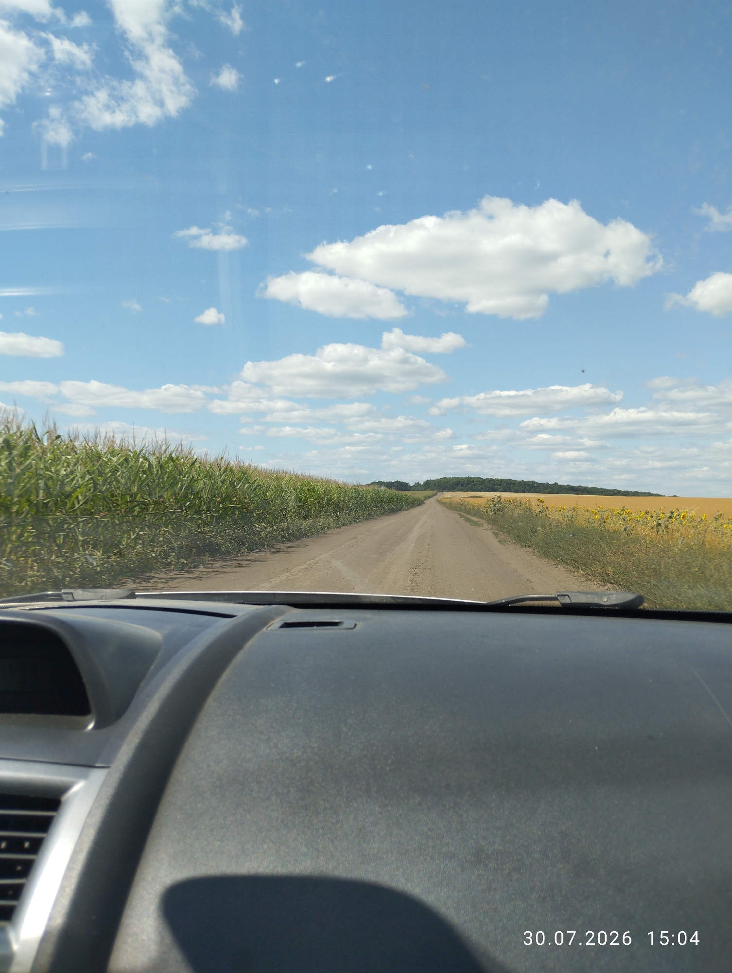 A first-person perspective shot shows a car driving on a dirt road through a rural landscape under a bright, cloudy sky. On the left side of the road, a dense field of tall green corn stalks stretches into the distance. On the right, a field of sunflowers with yellow petals borders the road, followed by a treeline on the horizon. The car's dashboard is visible in the foreground, with a windshield wiper resting on the passenger side. The timestamp "30.07.2026 15:04" is displayed in the bottom right corner of the image. This scene is located in Cotova, Moldova.