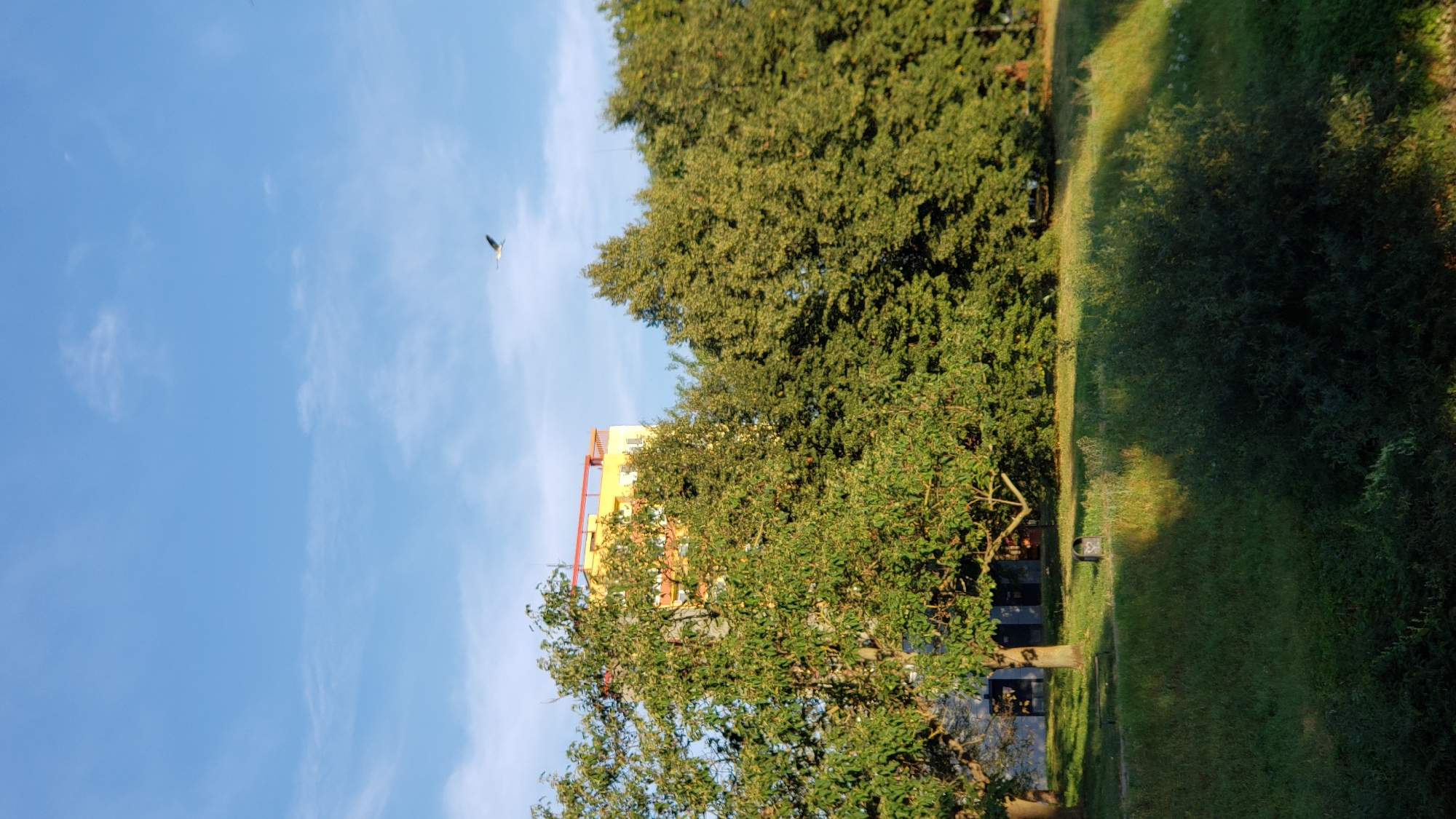 The image depicts a sunny day with a clear blue sky and scattered white clouds. In the upper right quadrant of the sky, a bird is captured mid-flight. Below the sky, a multi-story yellow building with a red trim is partially visible, peeking through a dense canopy of lush green trees. In the foreground, a grassy slope is illuminated by sunlight, casting shadows from the foliage. The scene suggests an outdoor urban setting, likely a park or residential area within the city of Prešov, Slovakia, given the architectural style of the building.