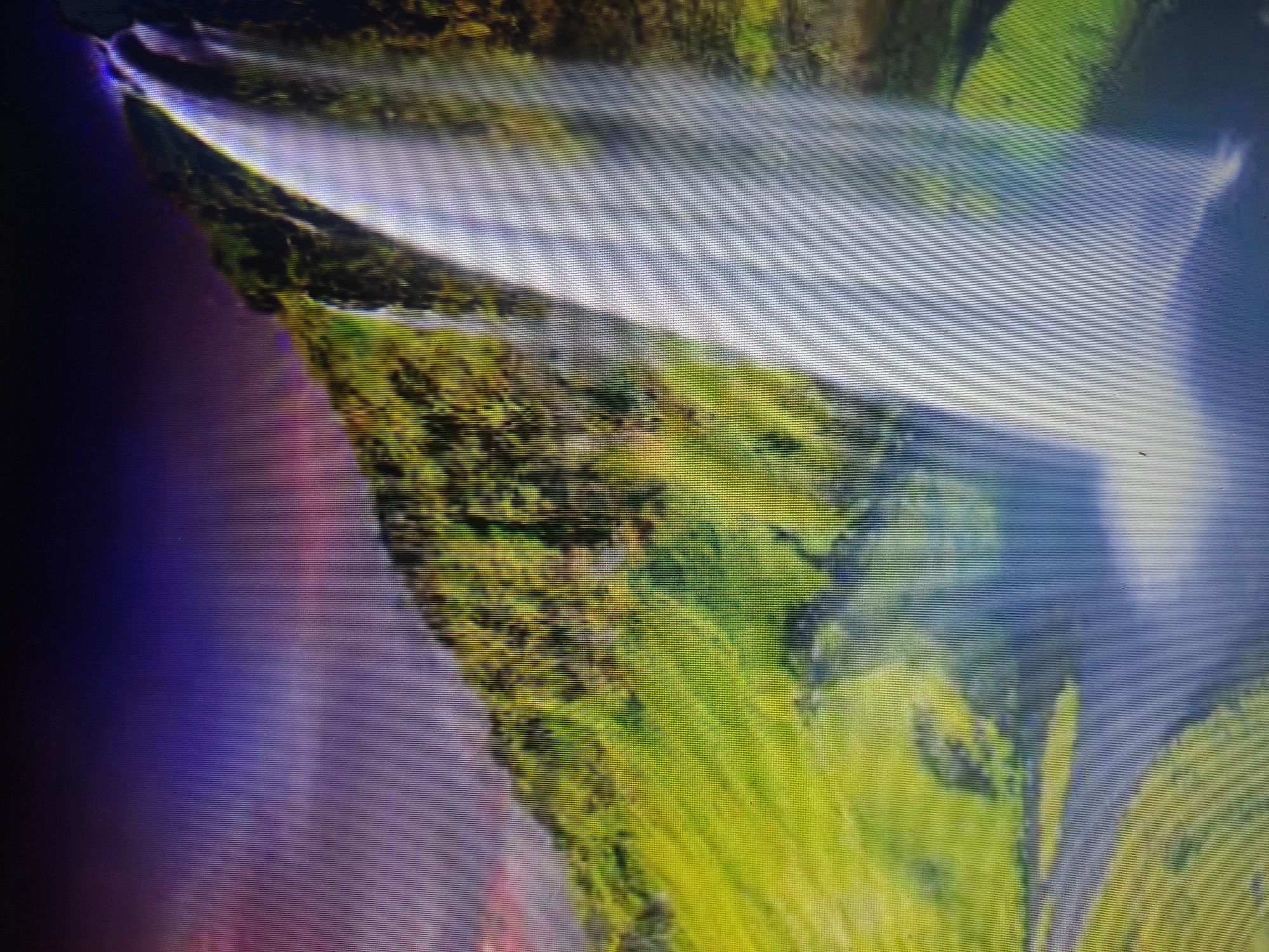 The image depicts a majestic waterfall cascading down a lush, green, and moss-covered cliff face. The water is a bright white, creating a misty veil as it plunges into the dark water below. The sky above is a dramatic blend of deep purple and vibrant pink, suggesting either a sunset or sunrise. The landscape is characterized by rolling green hills that extend from the base of the waterfall, with a winding river or stream visible in the foreground. The overall scene evokes a sense of natural beauty and tranquility.