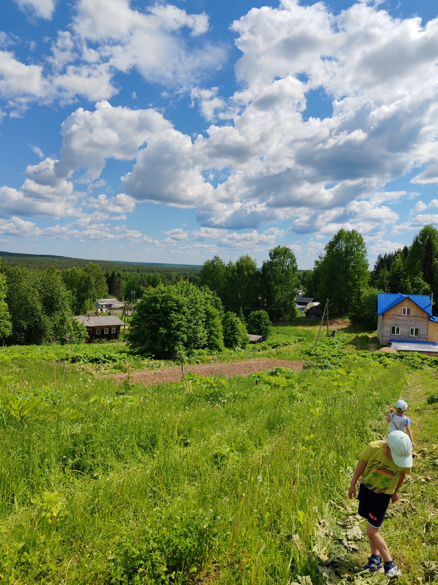 This image depicts a rural landscape in Чухлэм, Russia, under a bright blue sky filled with numerous white cumulus clouds. In the background, a dense forest line stretches across the horizon. Below the forest, several houses are visible amidst trees: a small brown wooden house with two windows on the left, another house with a light-colored roof centrally located, and a prominent two-story wooden house with a distinctive bright blue metal roof and white-framed windows on the right. A wooden utility pole stands near the houses on the right.
The mid-ground features a large, green, grassy field, which appears to slope downwards. A patch of tilled earth or bare ground is visible in the upper-left section of the field. The foreground is dominated by tall green grass, interspersed with some white seed heads of dandelions.
Two young children are visible in the lower right portion of the image, walking away from the viewer. The child in the immediate foreground wears a light green t-shirt with "Authentic" printed on it, dark shorts, blue sneakers, and a light blue baseball cap. Their head is tilted downwards as they walk along a cleared path through the grass, which contains some flattened or displaced large green leaves. Further behind and to the right, a second child is visible, wearing a light-colored t-shirt and a light-colored baseball cap, following the same direction. The scene is illuminated by bright daylight.