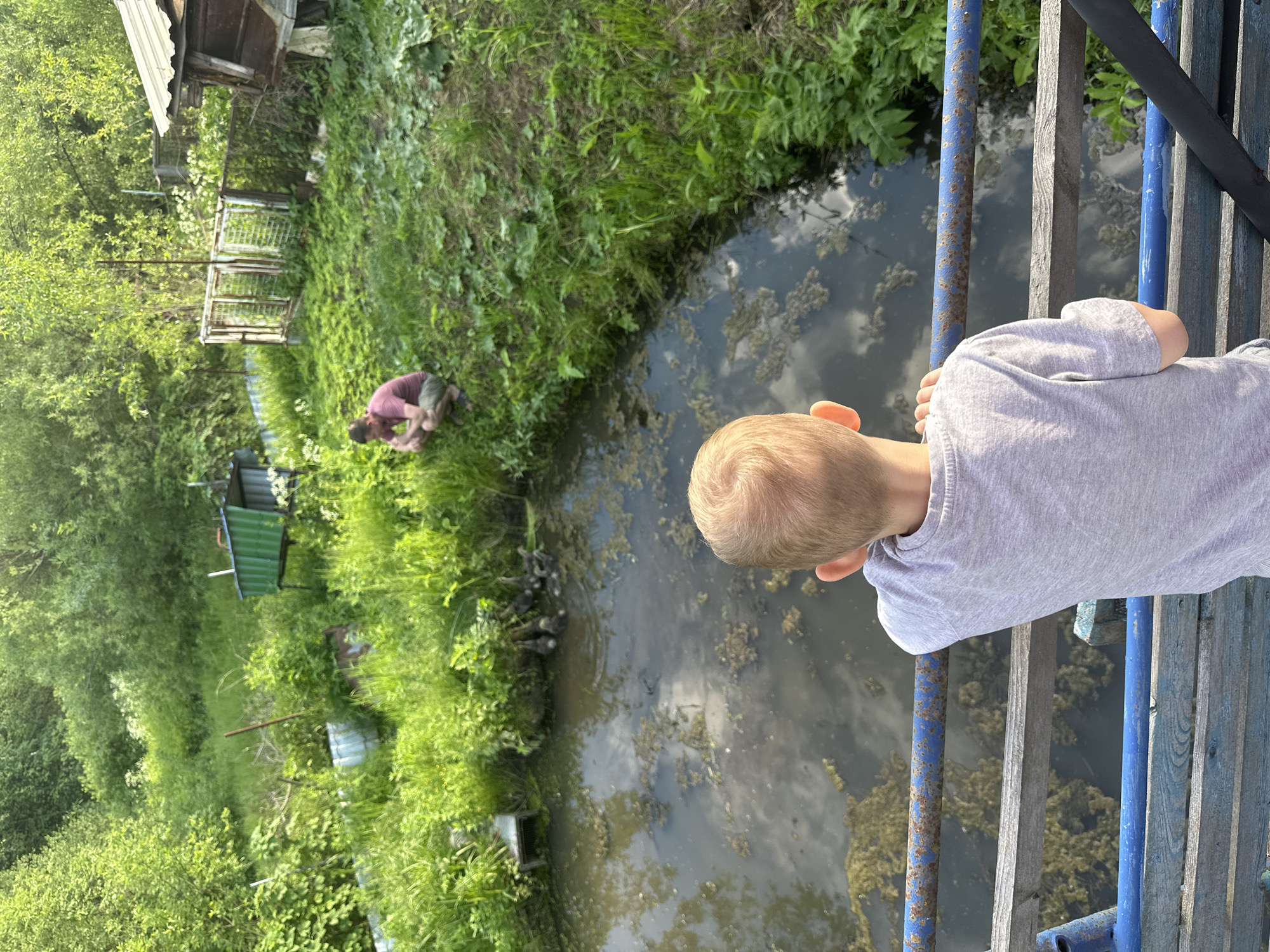 In Markovo, Russia, a young boy with blond hair, seen from behind wearing a grey t-shirt, stands on a wooden structure with blue and rusty railings, observing a murky pond. Several ducklings are visible in the pond near the grassy bank. In the background, a man wearing a burgundy t-shirt and grey shorts squats on the grass. The environment is overgrown with lush green vegetation, and several structures, including a small wooden shed and a green storage unit on stilts, are present. The scene depicts a rural or semi-rural setting.