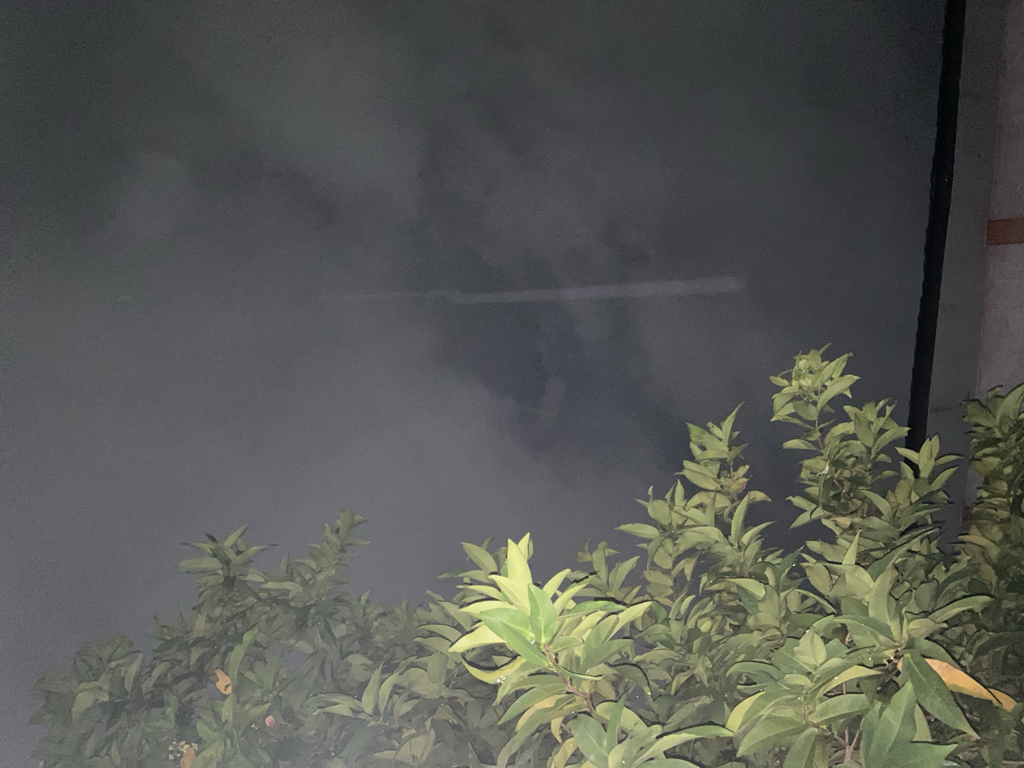 A nighttime photograph captures a close-up view of lush green foliage from a tree in the foreground, which occupies the left side of the frame. The leaves are well-lit, appearing vibrant and detailed against the dark, hazy sky. In the upper right quadrant of the image, a faint, vertical white line is visible, possibly a light streak or a distant object. The bottom edge of the image reveals a dark, horizontal band, likely a roof or structure, with a sliver of a lighter-colored wall beneath it. The overall atmosphere is dark and somewhat mysterious, with the bright foliage contrasting against the muted sky. The scene is identified as being located in Banjarmasin, Indonesia.