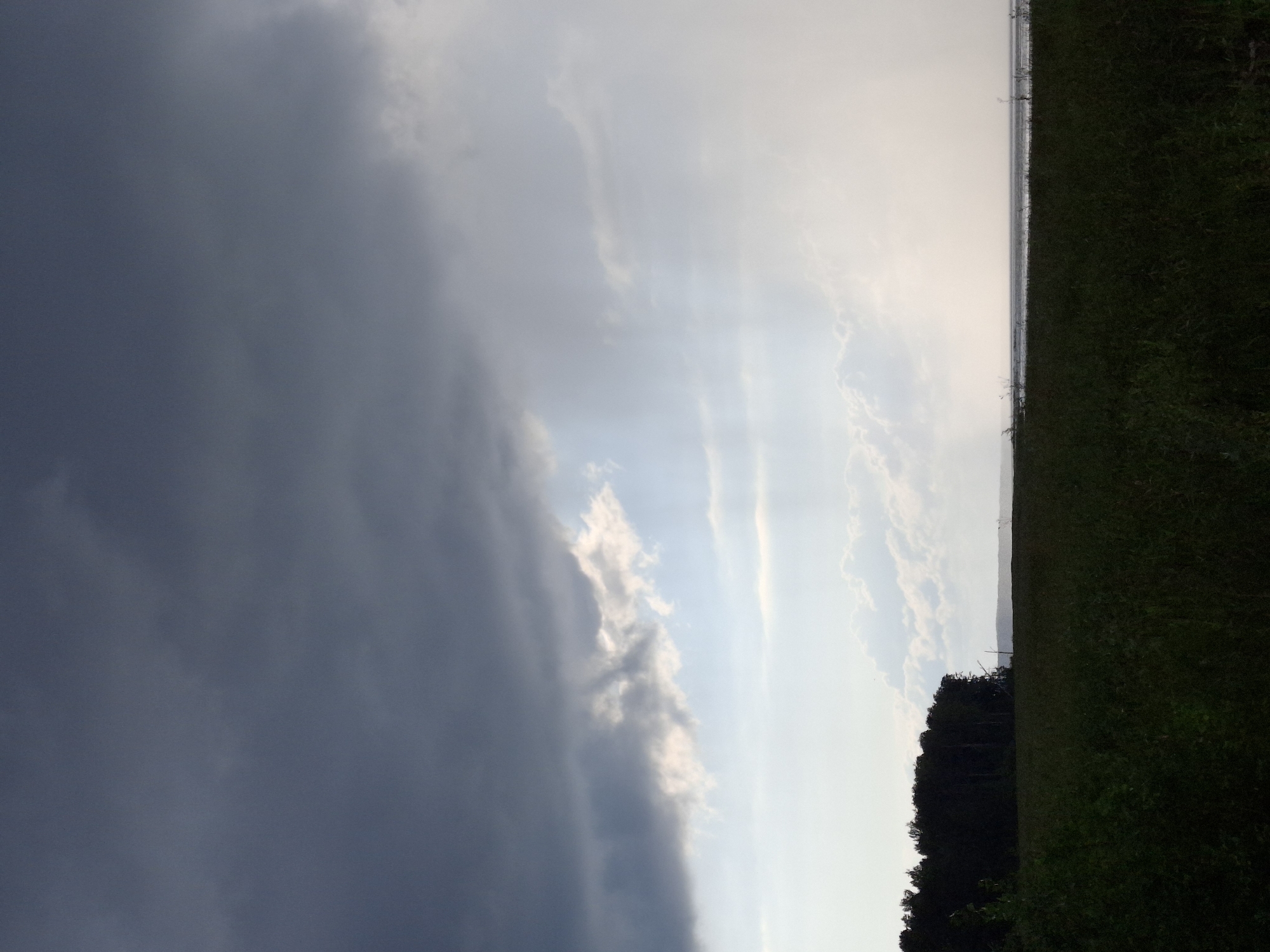 The image depicts a natural landscape under a dramatic sky. In the foreground, a dark, dense field of vegetation stretches across the lower portion of the frame, appearing silhouetted against the horizon. To the left, a dark line of trees forms a treeline against the brighter sky. The sky itself is dominated by heavy, dark clouds on the left, which transition to lighter, wispy clouds and beams of sunlight breaking through on the right. The horizon line is low, with a faint suggestion of water or a very distant shoreline. The overall atmosphere is moody and suggestive of an impending or passing storm. The location is specified as Plishkino, Russia, which implies an outdoor, possibly rural or coastal setting. There are no people or specific man-made structures clearly visible in the image, making it a general landscape scene.