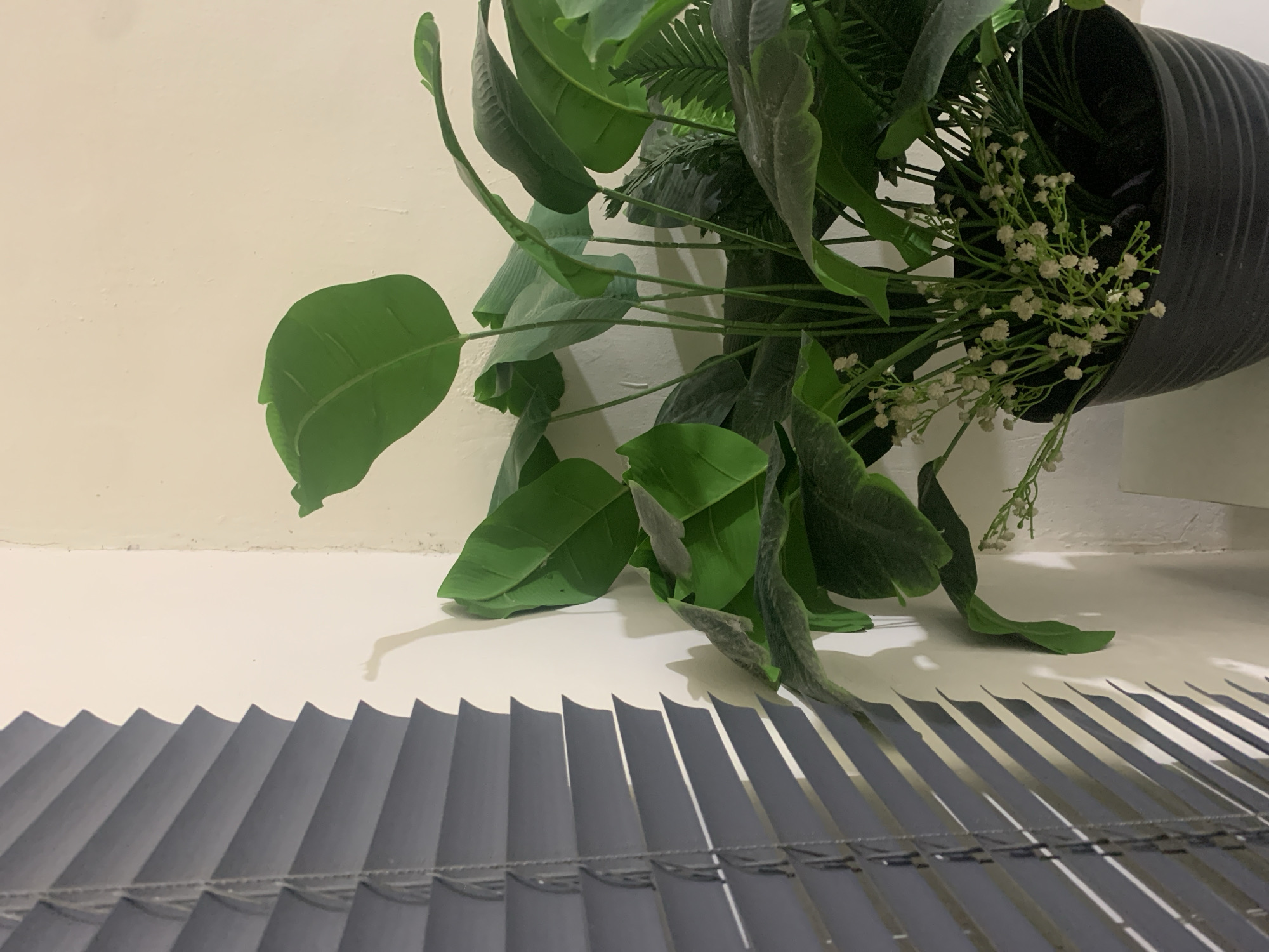 This image shows a close-up of a large, potted artificial plant placed on a white surface, with a light-colored wall in the background. The plant has broad, green leaves and delicate white flowers. The pot is black and appears to be made of plastic with a ribbed texture. In the foreground, a set of grey pleated blinds casts distinct shadows across the white surface. The lighting suggests it might be daytime, possibly late afternoon or early morning, due to the elongated shadows. There is no visible text in the image. The scene appears to be indoors, possibly in a room or on a windowsill.