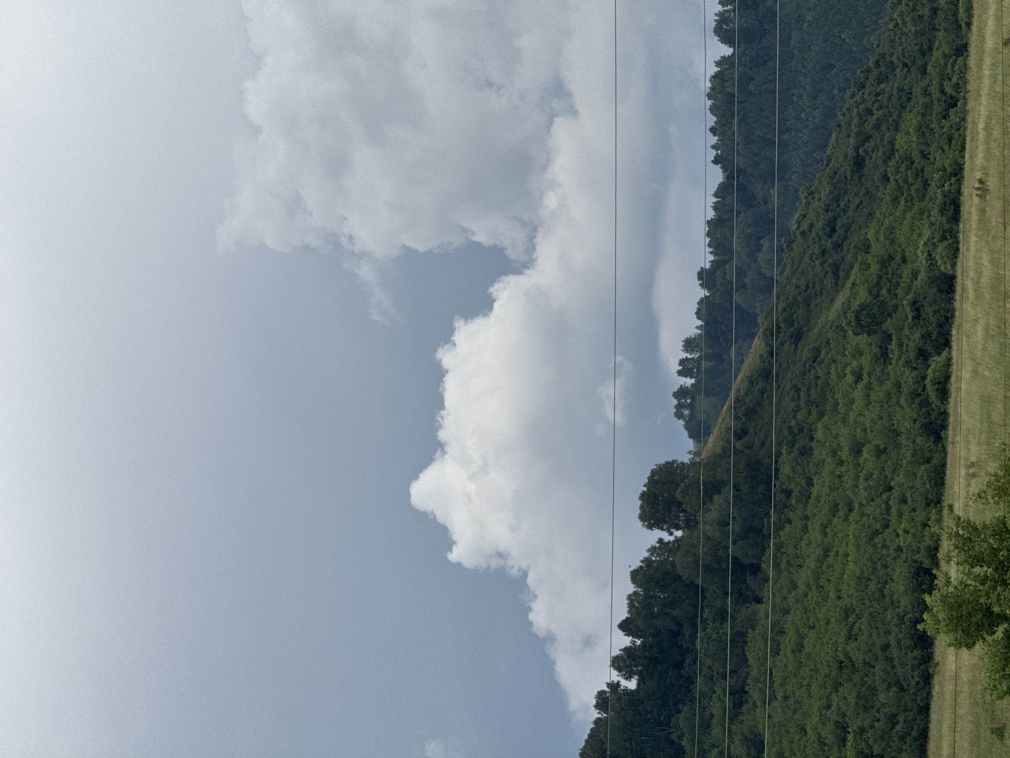 This is a photograph of a hilly landscape under a cloudy sky. In the foreground, there is a field of dry grass with a few green bushes. Behind the field, a densely forested hill rises, with layers of trees. Three parallel power lines are visible stretching horizontally across the middle of the frame, superimposed on the hills. The top of the image is dominated by a sky filled with large, white cumulus clouds against a lighter grey background. The scene depicts a natural environment, potentially on the outskirts of a rural settlement like Солонешное, Russia, given the presence of both natural topography and utility infrastructure. There are no people or animals visible in the image.