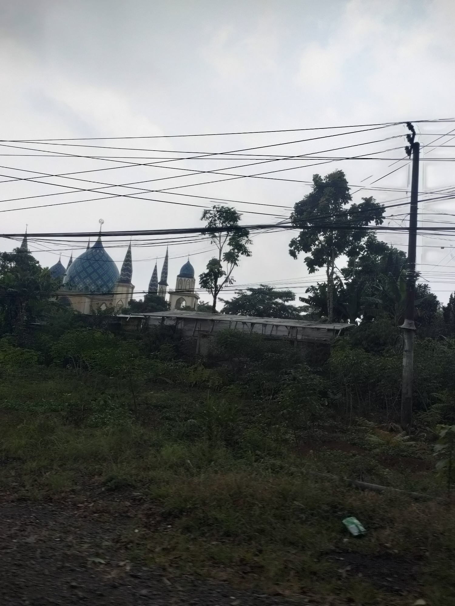 The image depicts a mosque with multiple domes, one of which is a prominent, large, aquamarine-colored dome with a patterned surface. Several smaller, pointed domes also rise from the mosque's structure, some topped with finials. The mosque is partially obscured by dense green foliage, including trees and shrubs. Overhead, a network of dark power lines crisscrosses the sky, with a utility pole visible on the right side of the frame. The sky is overcast and light gray, suggesting a cloudy day. In the foreground, a rough, dark surface, possibly a road or unpaved ground, is visible. A single green and white plastic bag lies on the ground amidst the vegetation on the right side of the image. The scene appears to be in an outdoor setting, likely a suburban or semi-rural area in Subang, Indonesia, given the presence of the mosque and the tropical vegetation. There are no people visible in the image.