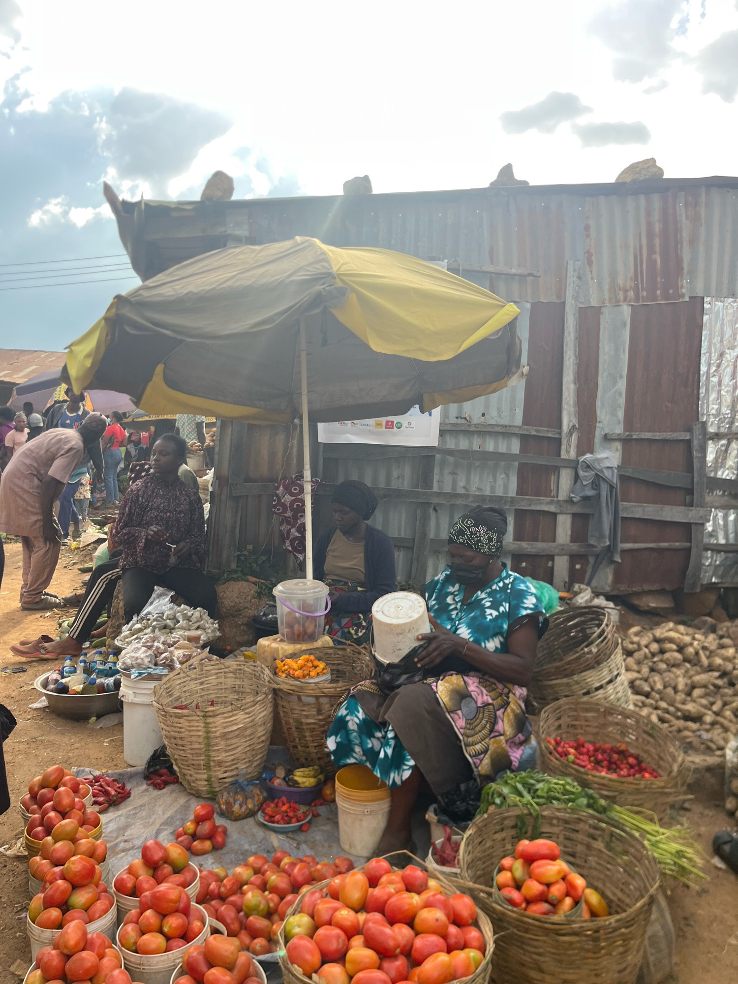 In Gura Top, Nigeria, a bustling market scene unfolds under a bright sky with scattered clouds. Several women are engaged in commerce, with a prominent focus on produce. One woman, wearing a colorful headscarf and a blue and green patterned top, sits next to a pile of potatoes and holds a white bucket. To her left, another woman in a dark patterned top and dark pants sits beside a display of small, pale vegetables, possibly onions or garlic. A third woman, wearing a dark headscarf and a patterned apron, sits to the right of the first woman, near a basket of red peppers.
The foreground is dominated by an abundant display of tomatoes in various containers, including baskets and buckets, as well as red chili peppers. Other produce like green leafy vegetables and what appear to be bananas are also visible. Behind the vendors, a rustic stall structure made of corrugated metal and wood provides shade, partially covered by a yellow and gray umbrella. In the background, other marketgoers are visible, contributing to the lively atmosphere of the scene. The ground is dusty, typical of an outdoor market environment.