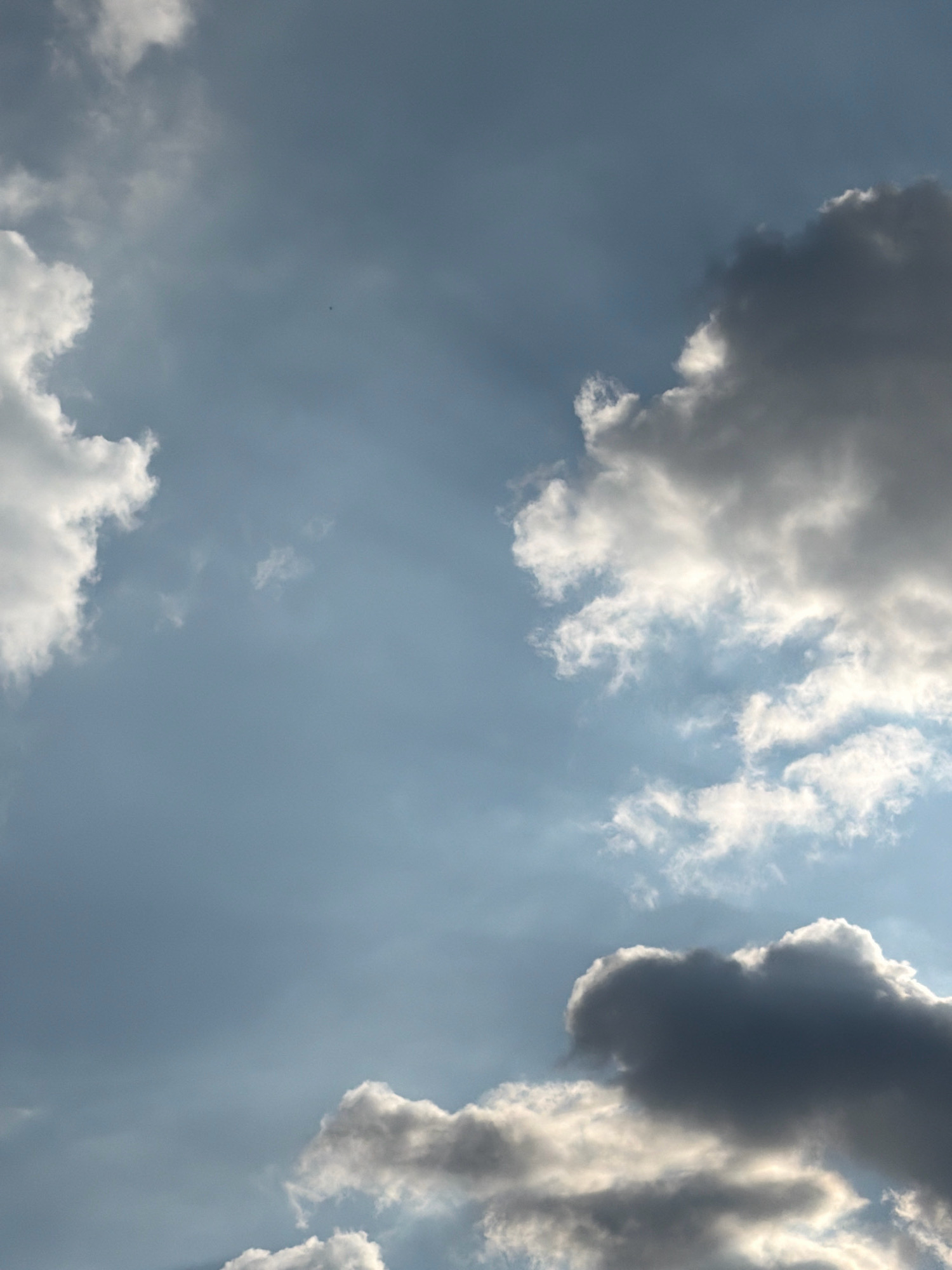 A cloudscape is depicted in the image, featuring a gradient of blue sky with scattered clouds. The clouds vary in density and color, ranging from bright white to dark gray, suggesting different atmospheric conditions. Some clouds exhibit soft, billowy textures, while others appear more wispy and translucent. Light rays are visible, piercing through the thinner parts of the clouds, creating a dramatic effect. The overall scene evokes a sense of natural beauty and dynamic weather patterns.