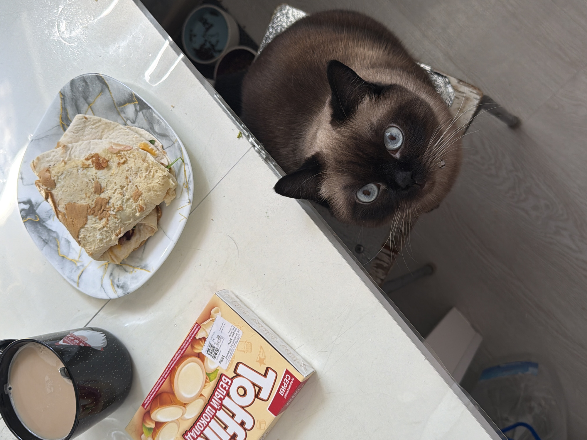 The image shows a table with a plate of food, a mug of coffee, and a box of "Toffifee" candy with Russian text, suggesting the location might be in a Russian-speaking area. A Siamese cat is positioned above the table, looking down with its bright blue eyes. The candy box indicates it is a limited edition "White Chocolate" Toffifee. The plate contains what appears to be a wrap or flatbread sandwich. The background and surrounding items like a water bottle and containers suggest an indoor setting, possibly a kitchen or dining area. Based on the OCR text on the candy box, the image is most likely taken in Chaikovsky, Russia.