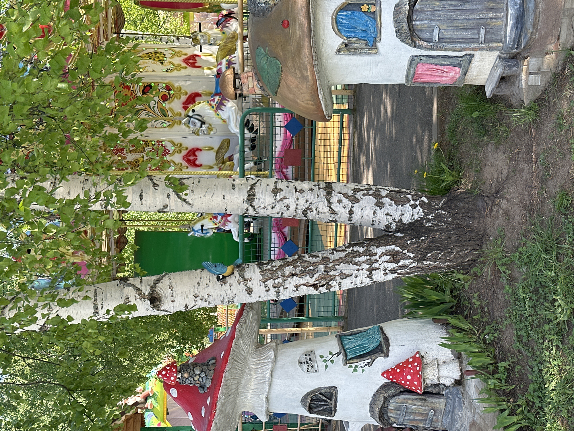 The image captures a whimsical scene at the Fairy Glade in the city of Chaikovsky, Russia. Two birch trees stand prominently, with their distinctive white bark marked by black streaks. These trees partially obscure a carousel featuring colorful horses in the background. Below the trees are fairy tale-themed buildings that resemble mushroom houses with whimsical designs, adding to the enchanted atmosphere of the Glade. The surrounding ground is covered with grass and soil, indicating an outdoor park or garden setting. The scene combines natural elements like the birch trees and human-made elements.