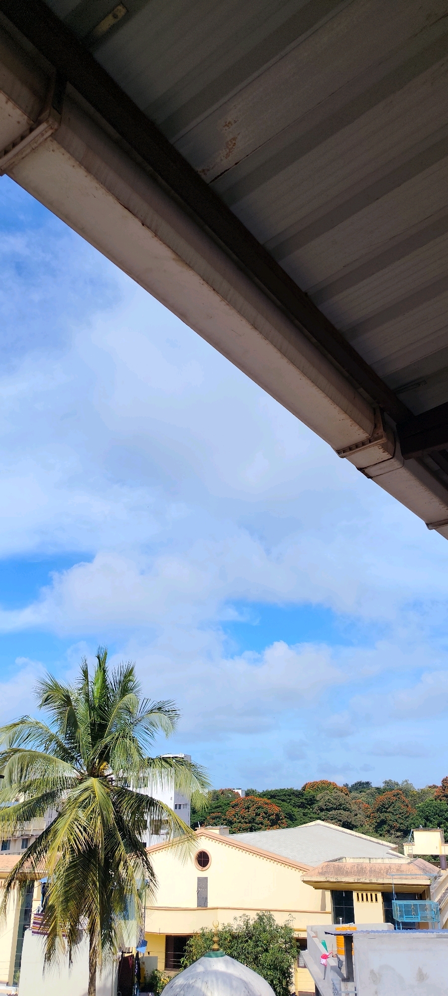 The image, taken from a vantage point overlooking rooftops in Belagavi, India, depicts a clear blue sky dotted with fluffy white clouds. In the foreground, a portion of a corrugated metal roof structure is visible, extending diagonally across the upper part of the frame. Below this, a lush green palm tree with its fronds spread wide stands prominently on the left side. Behind the palm tree, several buildings are visible, characterized by their varied architectural styles and colors. A light yellow building with a circular window and a prominent roofline is a notable feature. Further in the background, a dense line of trees with orange blossoms adds a vibrant touch to the landscape. The scene conveys a sense of a bright, partly cloudy day in an urban environment with abundant greenery.
