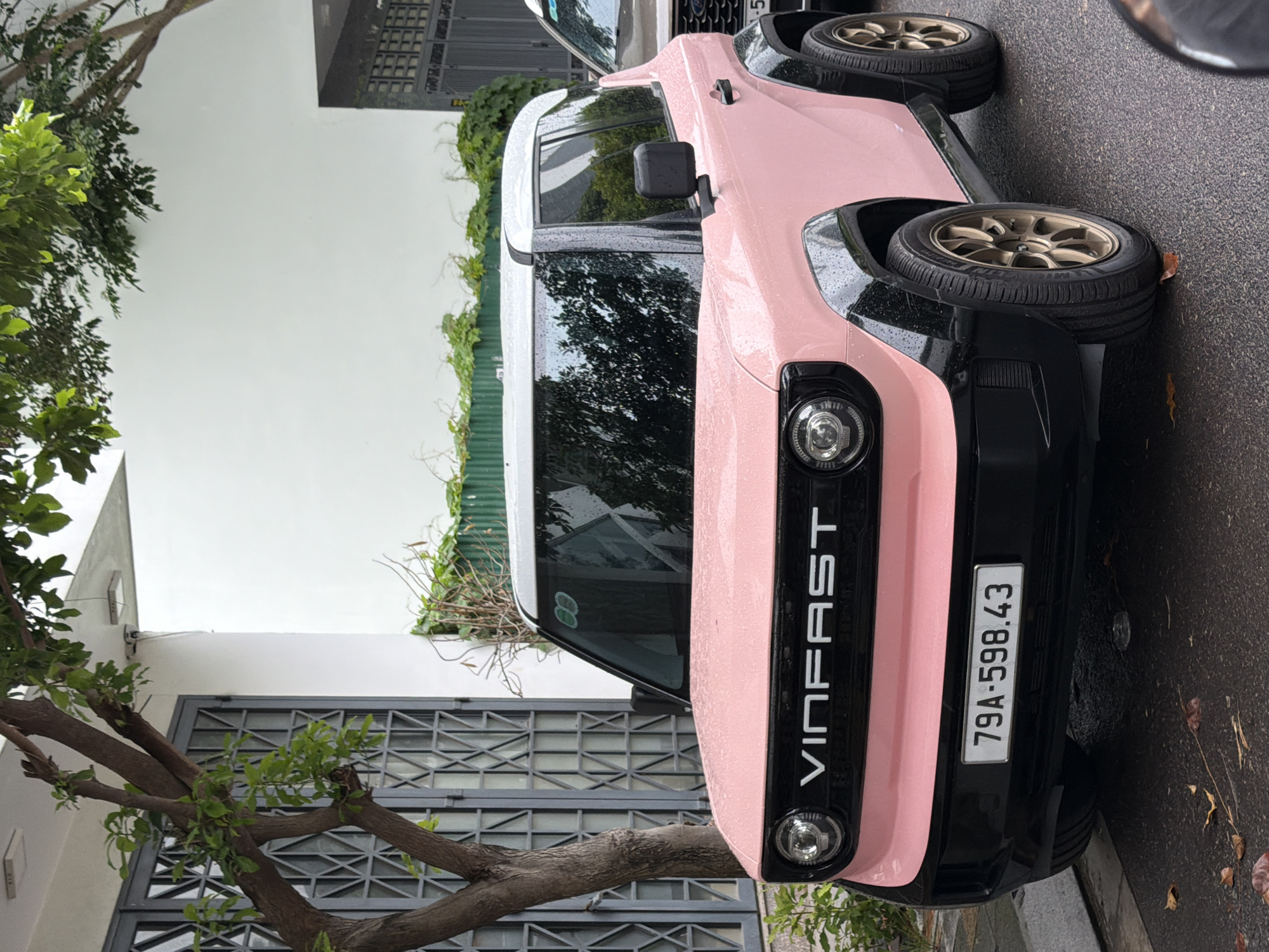 A pink VinFast VF 3 electric microcar is parked on a wet asphalt street in front of a building with gray windows and a white exterior wall. The car has a white roof and black fender flares. Its license plate reads "79A-598.43". The scene appears to be in a residential or commercial area in Nha Trang, Vietnam, as indicated by the license plate number format. A tree with green leaves partially obscures the building on the left side of the image. Other cars and greenery are visible in the background. The ground is wet, suggesting it may have recently rained.