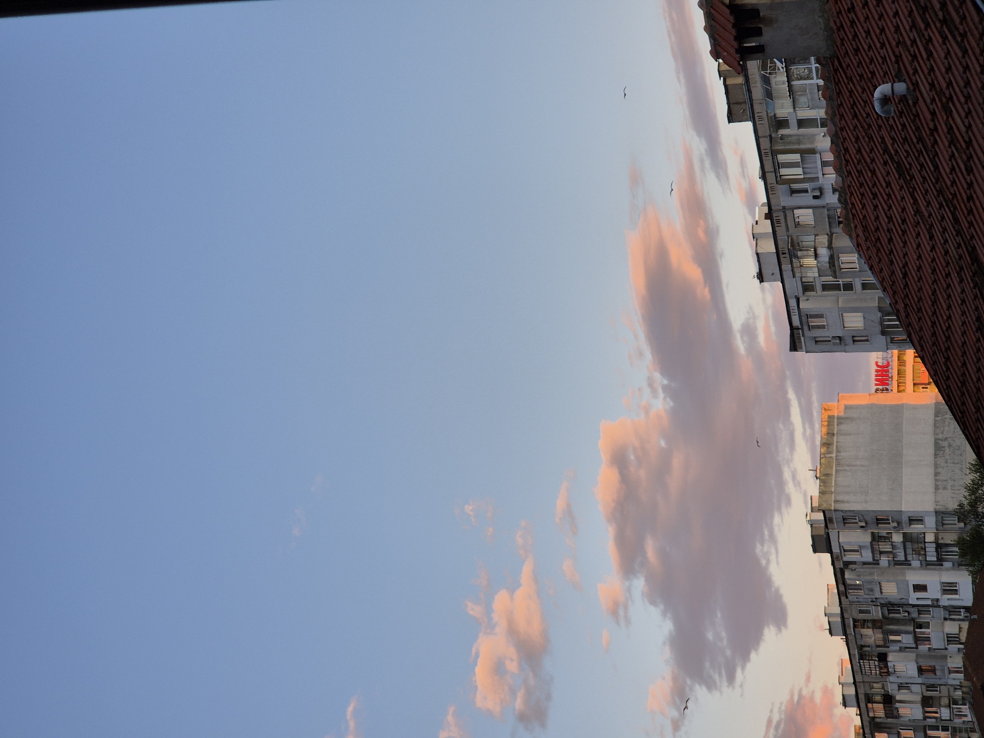 The image shows an upward view in an urban setting, with residential buildings dominating the right side. The buildings are multi-storied and appear to be older apartment complexes. The facade of the closest building is covered with reddish-brown roof tiles. A building with signage written in Cyrillic characters is also visible, it reads "MHC".
The sky is predominantly blue, with soft, pink-tinged clouds. There are a few birds visible in the sky.
The composition of the image suggests that the shot was taken from an elevated position looking upward. The location is Varna, Bulgaria.