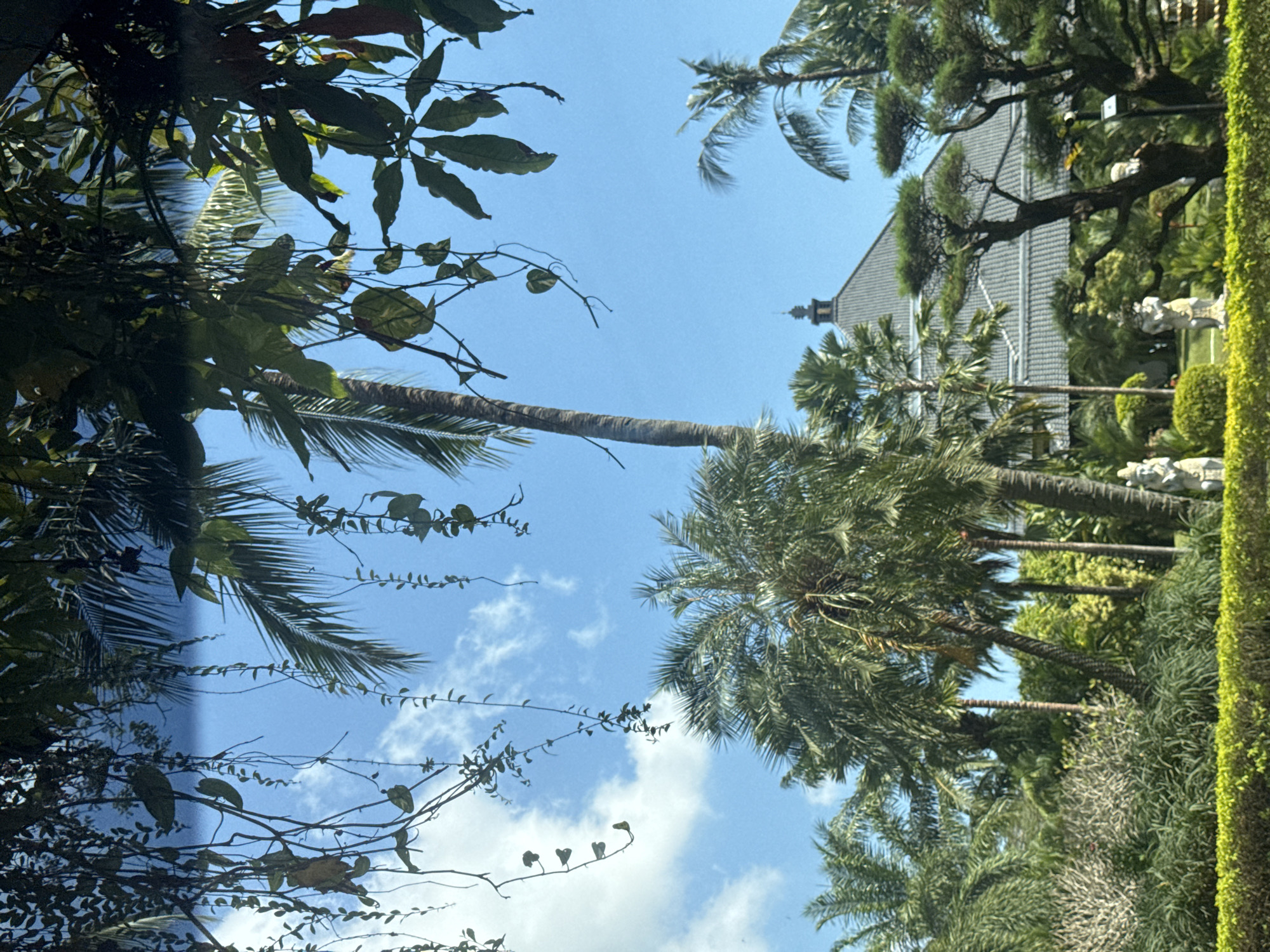 The image captures a view through lush green foliage and hanging vines towards a clear blue sky dotted with white clouds. In the mid-ground, various palm trees dominate the scene, with one tall, slender palm tree prominently positioned. Behind the trees, a distinctive building with a dark, stepped roof and a central spire is visible. Several manicured trees, resembling bonsai, are in the foreground of the building. Two stone statues of figures in traditional attire are partially visible on the left and right sides of the image, standing amidst the greenery. The overall impression is that of a serene tropical garden setting with architectural elements. The scene is located in Kuta Selatan, Indonesia.