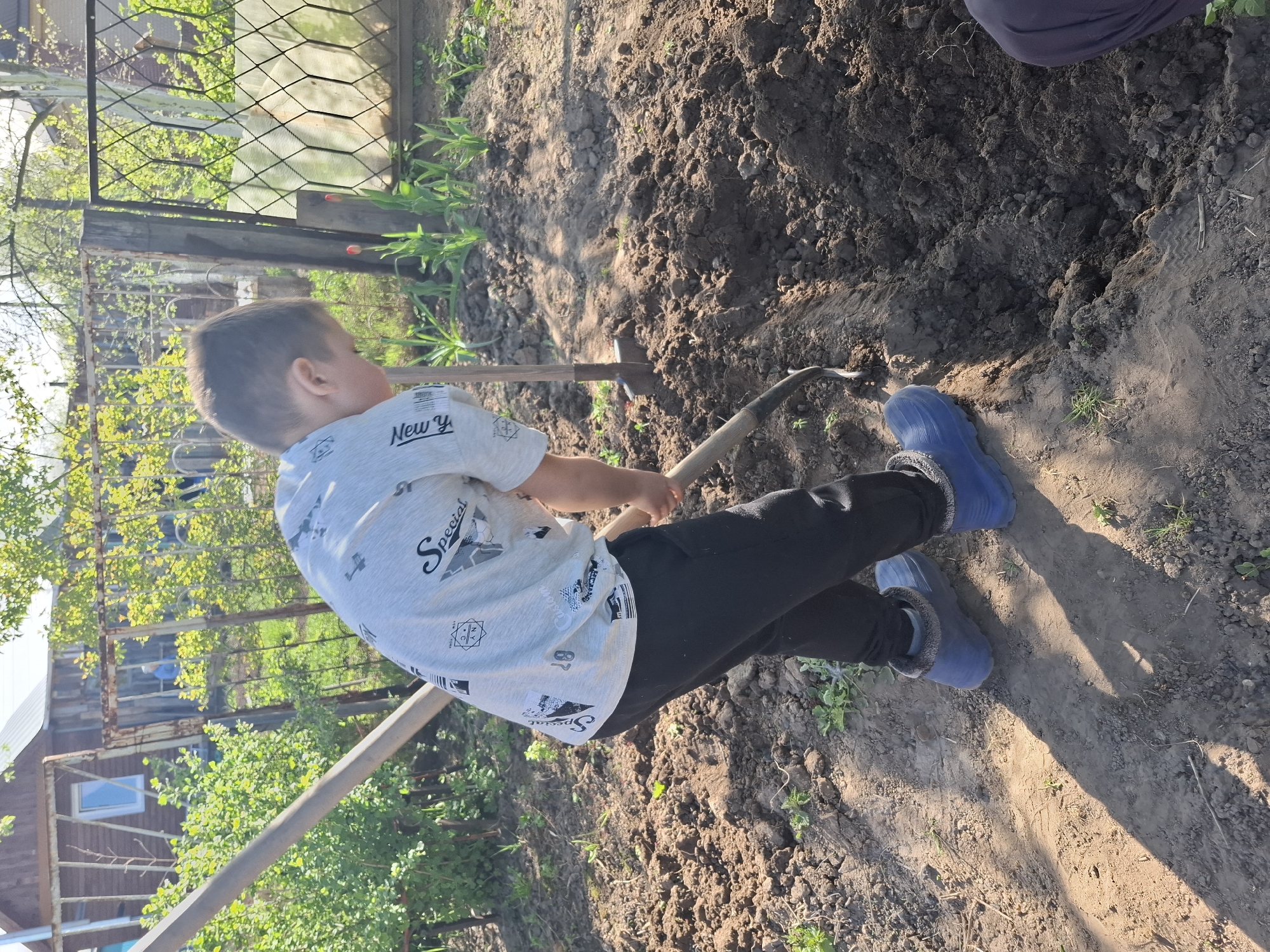 A child in blue boots, black pants, and a white t-shirt is digging in a garden with a shovel. The garden is in Chaikovsky, Russia, and has a chain-link fence and a small greenhouse. A house with a blue-framed window is visible in the background.