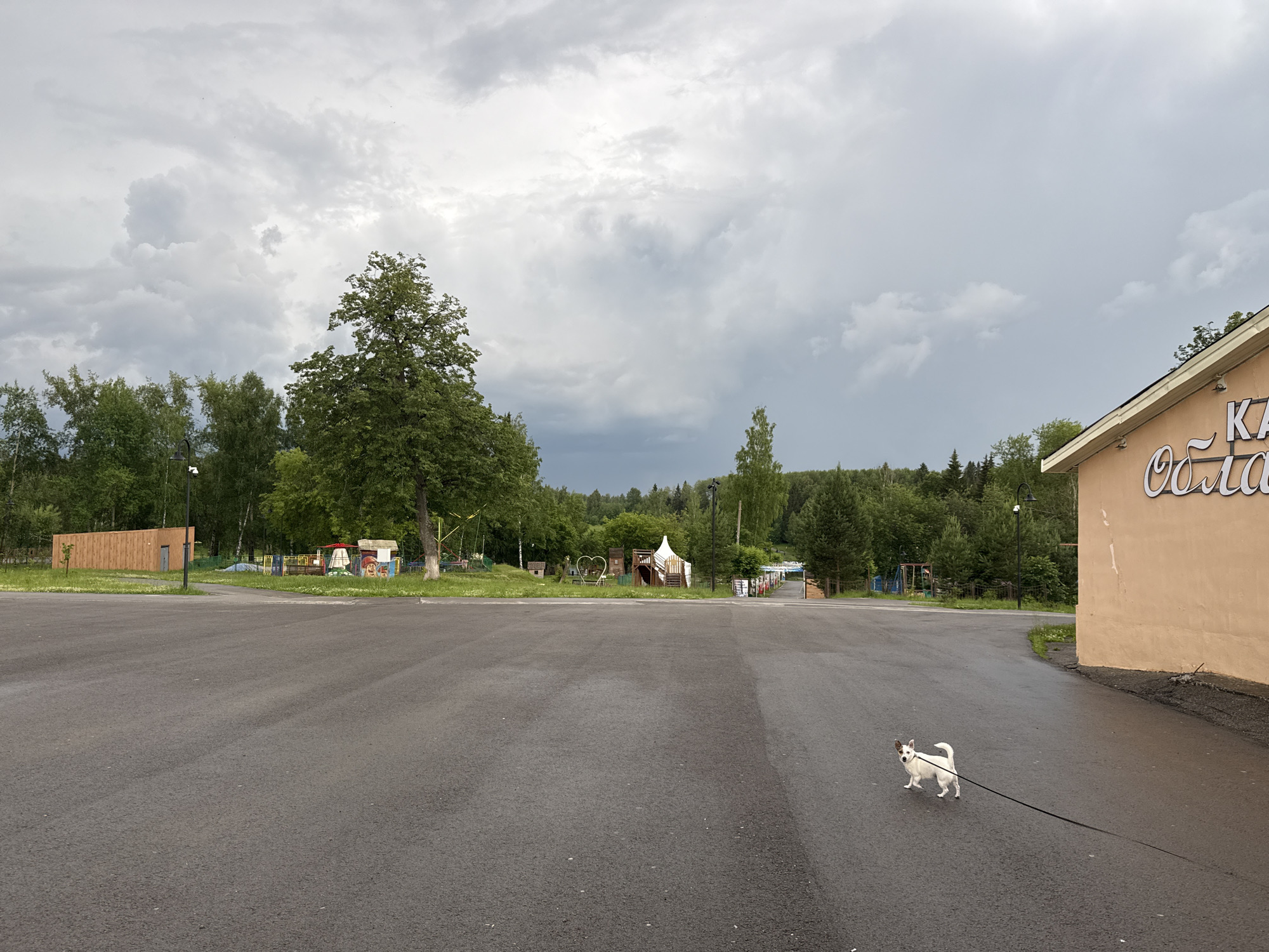 A small white dog on a leash is walking on a wet asphalt surface in front of a peach-colored building with signage. The building appears to be a business, possibly a cafe or shop, with the Russian word "Облака" (Oblaka, meaning Clouds) visible on the facade. The scene is outdoors, with a grey, cloudy sky overhead. In the background, there is a treeline and a children's playground with various structures, including a small wooden house and a trampoline. The overall setting suggests a park or recreational area on the outskirts of a city. The location is the city of Chusovoy, Russia.