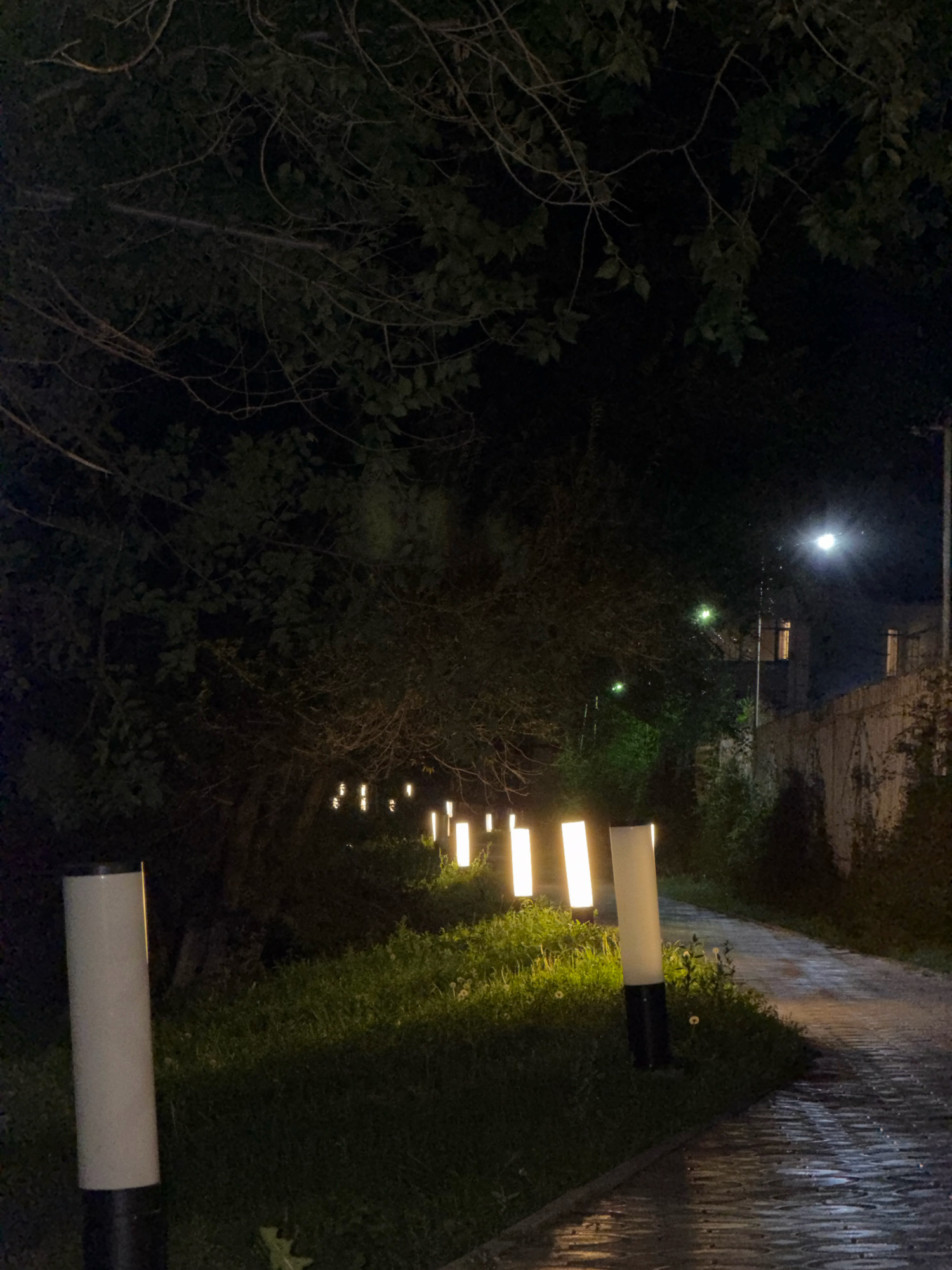 The image shows a pathway lined with modern bollard lights at night. The pathway is paved with cobblestones and is wet, reflecting the light. To the left of the pathway is a grassy area with more bollard lights. Behind the grass, there are trees with dark foliage, and in the distance, a wall and buildings with illuminated windows are visible. A streetlamp can also be seen in the distance. The overall atmosphere is serene and dimly lit. The location is not discernible from the image.