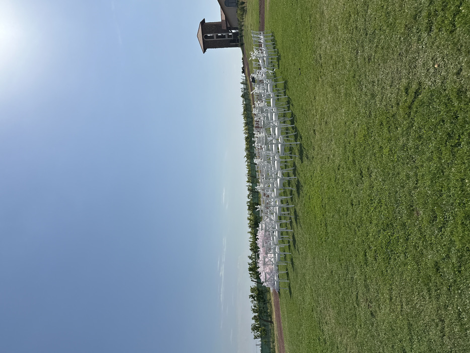 An outdoor scene in Sasunik, Armenia, is depicted on a clear, sunny day. The foreground consists of an expanse of well-maintained green grass. In the midground, multiple rows of white cross-back chairs with white seat cushions are arranged on the grass, facing towards the left side of the frame. To the immediate left of the chair setup, a structure adorned with light pink and white floral decorations is visible, positioned as a potential arch or backdrop. The background on the left features rows of grapevines, indicative of a vineyard, extending horizontally across the landscape. A dirt path runs parallel to the vineyard rows. On the right side of the background, a large stone building with a prominent square tower topped by a red-tiled roof stands on a slight elevation. The tower exhibits multiple arched openings. The sky overhead is a uniform bright blue, devoid of clouds. No individuals are present in the scene.