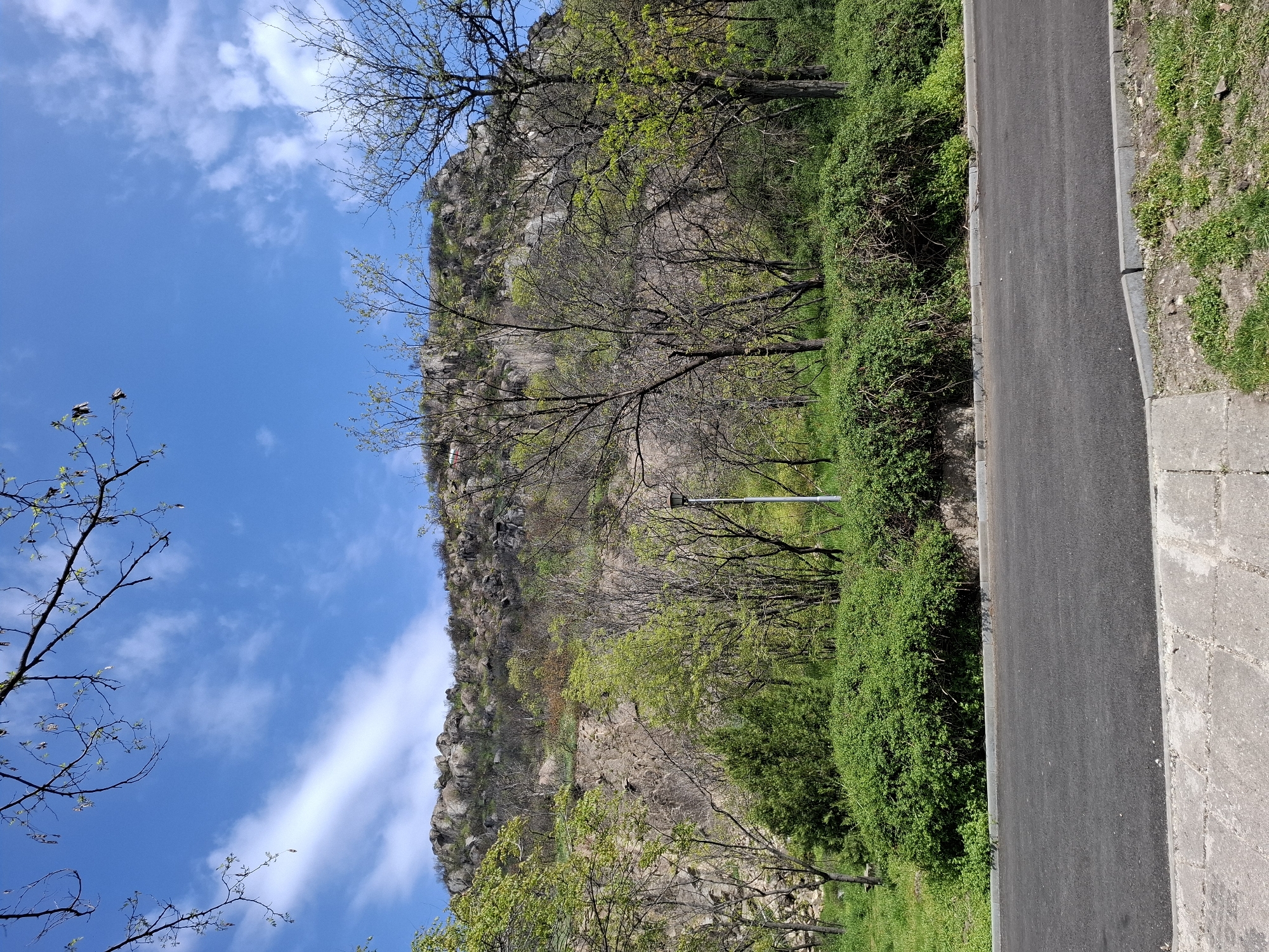 This daytime landscape image captures a scenic view of a rocky hillside adorned with trees and dense vegetation, under a bright blue sky with scattered white clouds. The overall impression suggests a springtime setting, with many deciduous trees displaying new, light green leaves and buds, while others still have bare branches.
On the right side of the frame, a dark gray asphalt road runs vertically, bordered by a concrete curb. Beyond the curb, a strip of sparse grass and dirt is visible. Adjacent to the road, a lush band of green bushes and trees forms a natural barrier. A single, tall street lamp pole stands within this verdant area.
Dominating the left and central background is a rugged, rocky hill or mountain. Its surface is composed of light brown and gray rocks, with patches of green flora interspersed. Numerous trees, varying from bare to lightly foliated, are scattered across the rocky terrain.
The image portrays a tranquil natural environment, likely a park or a mountain-adjacent area, with a road providing access. No people or visible text are present. The clear, bright lighting indicates a sunny day. The location context for this scene is Plovdiv, Bulgaria.