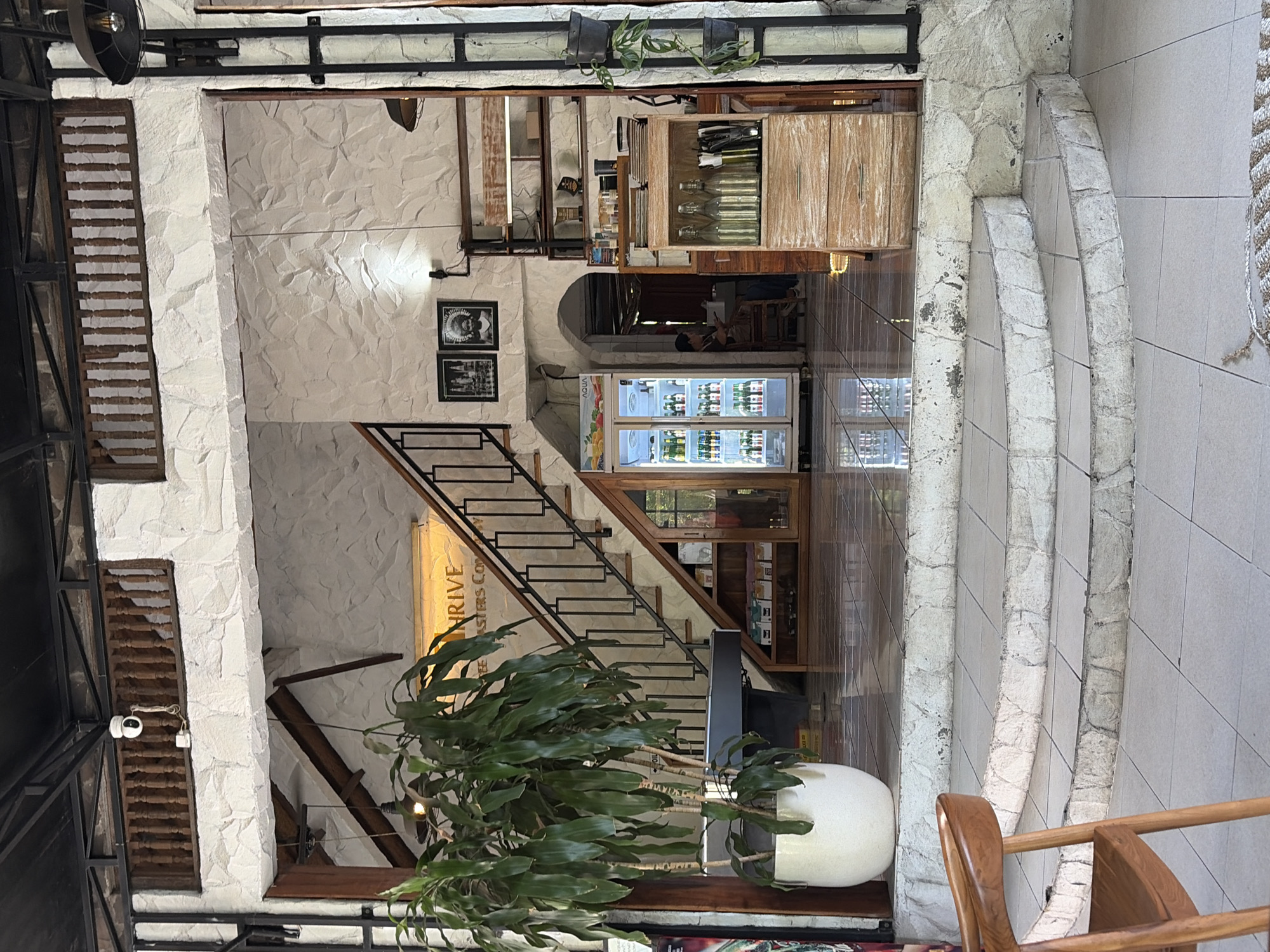 This is a medium-shot, eye-level, interior photograph of a cafe. The scene is brightly lit, with natural light entering from the right side and overhead. In the foreground, a portion of a wooden chair is visible on the left, partially obscuring a set of curved, tiered steps leading up to the main level of the cafe. The steps are made of light-colored tiles with rough, stone-like edging.
The cafe features a rustic design with white, textured stone walls. A large, leafy green plant in a white ceramic pot stands on the left side, near the steps. Behind the plant, a staircase with black metal railings and wooden steps ascends to an upper level. Above the staircase, a sign reads "THRIVE COFFEE ROASTERS CO."
Further into the cafe, a glass-fronted refrigerator stocked with drinks is visible. To its right, a wooden shelving unit displays various items, including bottles and what appear to be boxes of coffee beans. In the background, through an archway, a person is seated at a table. Two framed pictures hang on the wall above the refrigerator, depicting what appear to be portrait photographs. A security camera is mounted on a railing on the upper level. The floor is tiled with light gray squares. The overall impression is that of a modern, yet cozy, cafe interior. The location is specified as Kubu, Indonesia.