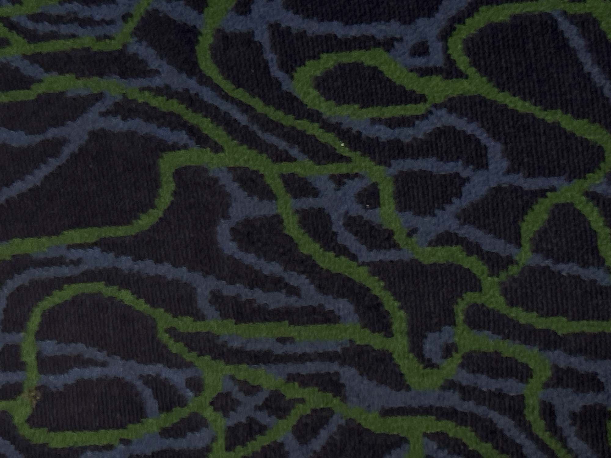 The image presents a close-up, abstract view of a patterned textile, likely a carpet or upholstery fabric. The background is a very dark hue, appearing as deep navy or near-black. Over this dark base, an intricate pattern of wavy, organic lines is visible in two distinct colors: a medium to dark green and a muted, grayish-blue.
The green lines are generally thicker and more prominent, flowing in irregular, curvilinear paths across the surface. The grayish-blue lines tend to be thinner and blend more subtly with the dark background, interweaving with the green lines to create a complex, non-repeating design. The texture suggests a woven or tufted material, with individual fibers and slightly jagged edges visible along the colored lines. The lighting is even and diffused, highlighting the textile's texture and color variations without casting strong shadows or reflections. No people, specific objects, or text are visible in the frame. The pattern is purely decorative and abstract. The image does not provide any visual cues to confirm the location context of Saint Petersburg, Russia.