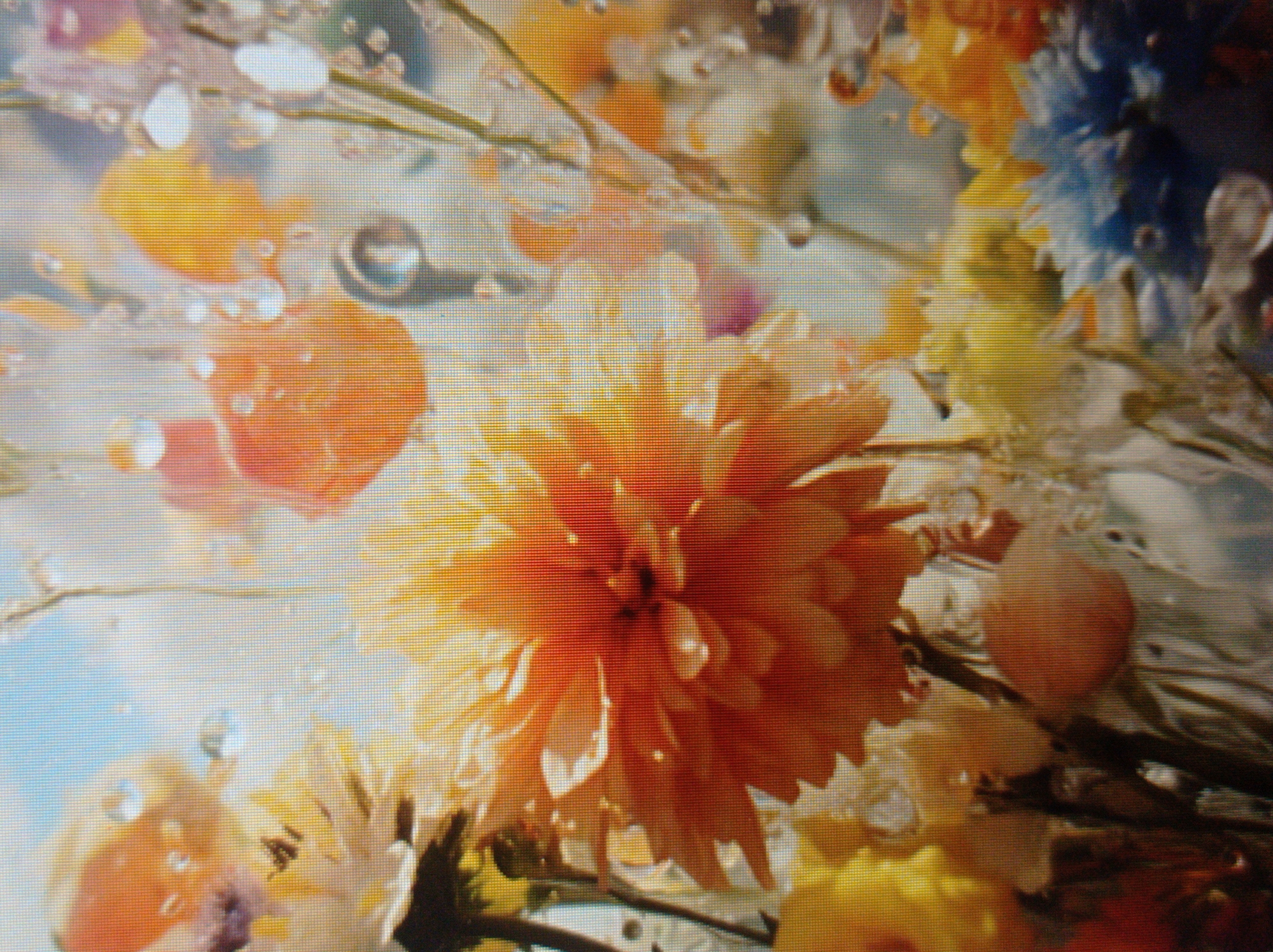 The image is a close-up, slightly blurred photograph of a vibrant floral arrangement, possibly a bouquet or a garden display. The flowers are predominantly in shades of orange, yellow, and some hints of blue and white, with a soft focus that gives a dreamlike quality. Droplets of water are visible on and around the petals, suggesting a recent watering or a humid environment. The background is a diffused wash of light blue and white, with hints of other floral elements and possibly some greenery. There are no discernible landmarks or architectural features that would indicate a specific location in Mukachevo, Ukraine. The image focuses solely on the beauty and texture of the flowers and water droplets.