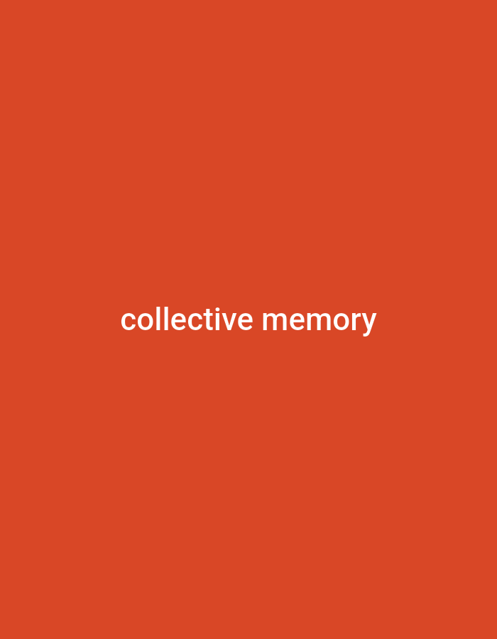 The image is a minimalist digital graphic featuring white text centered on a solid, vibrant orange background. The text reads "collective memory" in a simple, sans-serif typeface, all in lowercase. No people, objects, or a discernable scene are depicted beyond this textual design. There is no activity or event taking place. The background color is a rich, warm orange. No specific time of day, weather conditions, or emotional cues are visually conveyed by the image itself, other than the conceptual meaning of the phrase "collective memory." The image provides no visual cues or contextual information to suggest the location of Maiburiji, Nigeria. It appears to be a title slide, a social media graphic, or a similar type of informational visual.