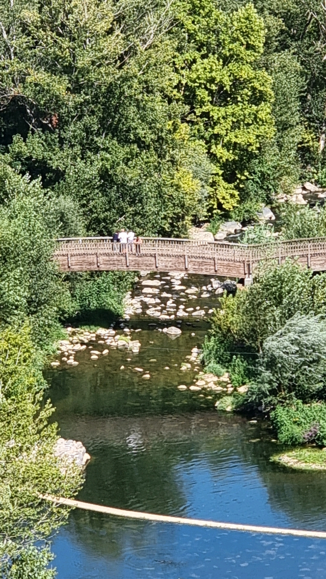 The image captures a picturesque view of a wooden bridge spanning a river, framed by lush green trees. The riverbed is visible through the clear water, studded with numerous light-colored rocks. On the bridge, three individuals are standing, appearing to observe the surroundings. To the right of the bridge, a dark, quadrupedal animal, possibly a dog, is perched on the riverbank, adjacent to dense foliage. The overall setting suggests a natural, outdoor environment, possibly a park or recreational area, given the presence of the bridge and the accessible river. The architectural style of the bridge and the natural landscape imply a location that blends human infrastructure with the wild.