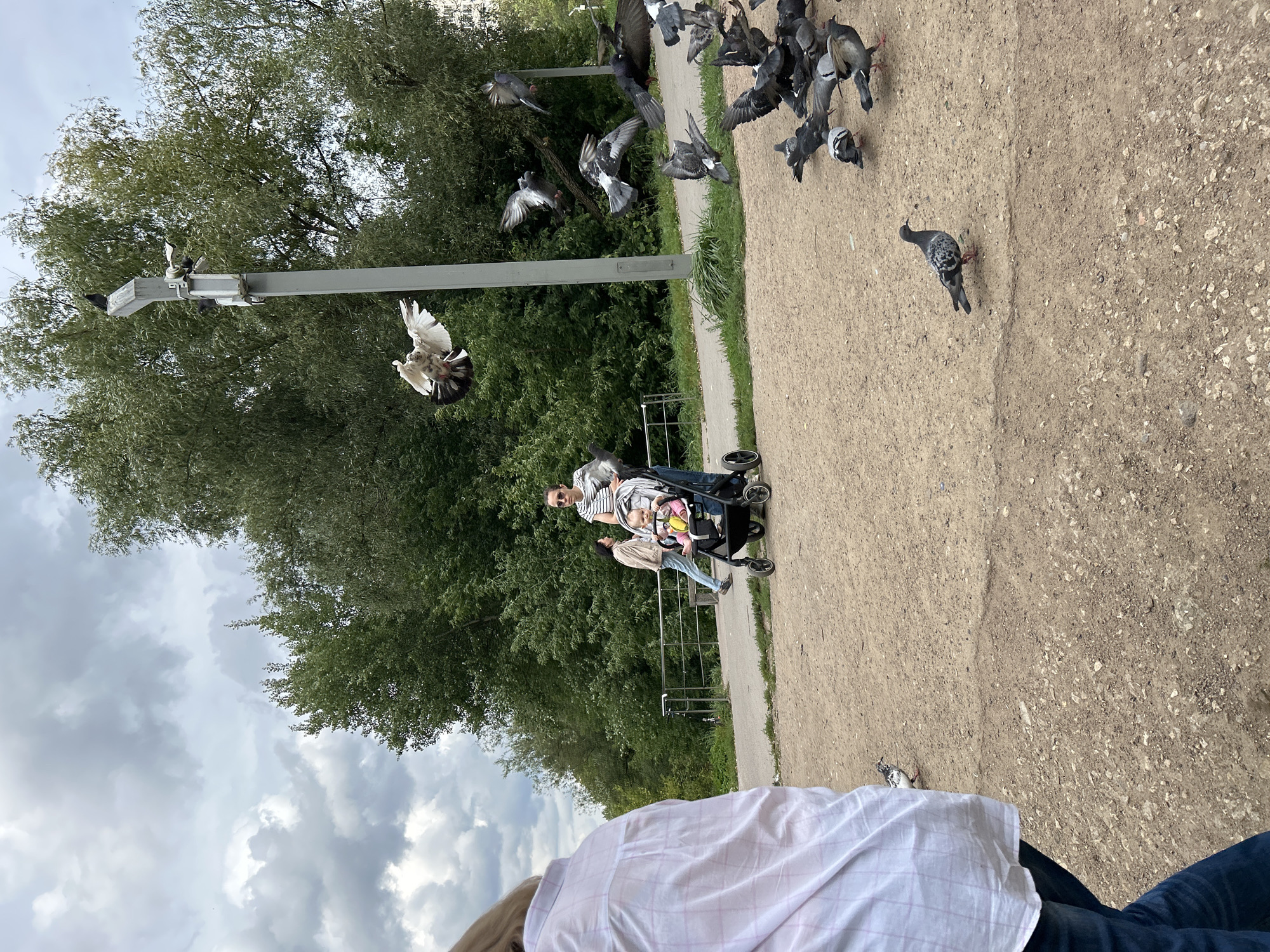 A naturalistic, medium shot captures a park scene in Moscow, Russia, under an overcast sky. In the foreground, the back of a person wearing a white and pink checkered shirt and blue jeans is visible, facing away from the camera and towards the park. A second person, a woman with dark hair and sunglasses, pushes a stroller with a baby inside. They are walking on a paved path that winds through a grassy area bordered by trees. A group of pigeons are gathered on the ground in the mid-ground, with several more in flight in the background. One pigeon is captured mid-flight in the upper center of the frame, its wings spread wide. A tall grey lamppost with security cameras is visible on the right side of the frame. The ground is a mixture of dirt and gravel.
