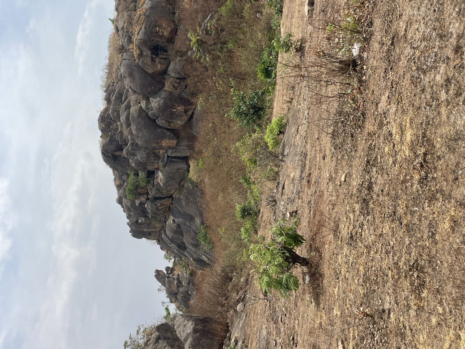 The image depicts an arid, rocky landscape in the city of Gero, Nigeria, under an overcast sky. The foreground consists of dry, reddish-brown soil scattered with sparse, withered brown grasses and small, dead shrubs. A single small tree with green foliage and a dark trunk is situated on the left side of the foreground. The midground features a gradual incline populated by denser clusters of dried brush and occasional small green shrubs. The background is dominated by a large formation of dark grey to reddish-brown, weathered boulders and rock outcrops, forming a prominent hill or mountain. Sparse green vegetation is visible clinging to crevices and surfaces of these rock formations. No human subjects, animals, structures, or active human intervention are visible within the scene.