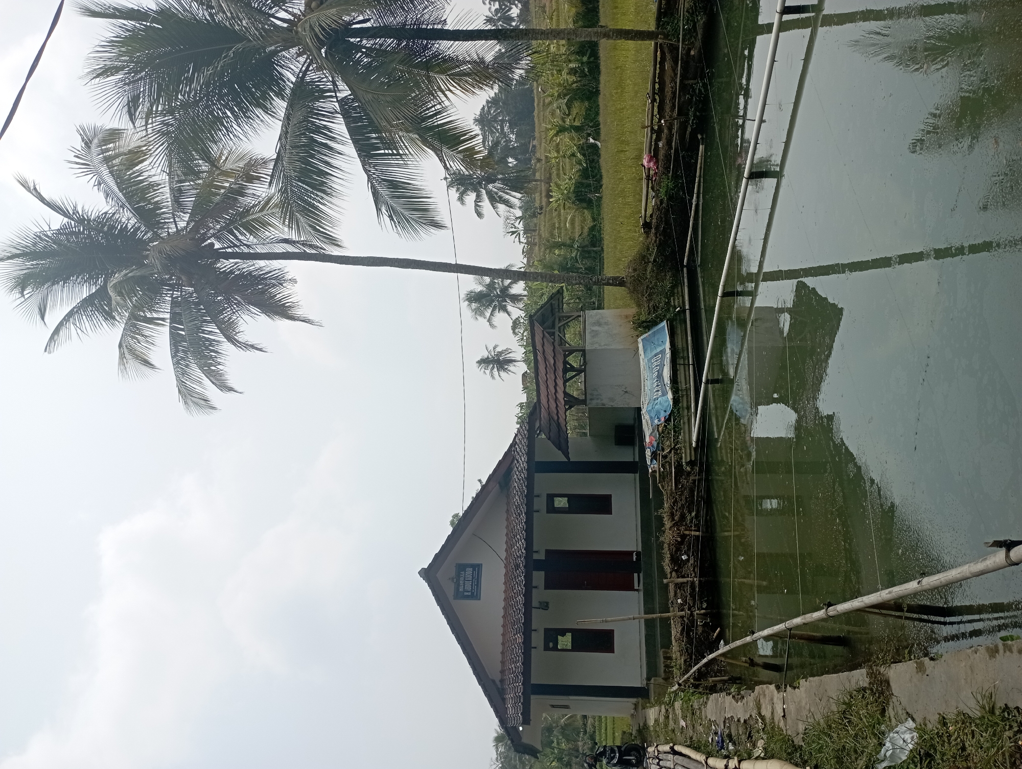 The image depicts a rural scene in Tasikmalaya, Indonesia, dominated by a small building with a red door and two windows. A sign above the entrance reads "MUSHOLA H. ABDUL KHODIR". In front of the building is a pond, bordered by bamboo poles. To the right of the building, a small open-sided shelter with a brown roof is visible. Palm trees are prominent throughout the scene, with one tall tree standing near the building and others visible in the background. The background also features a lush green rice paddy field, indicating an agricultural setting. A motorcycle is parked to the left of the building. The sky is overcast.