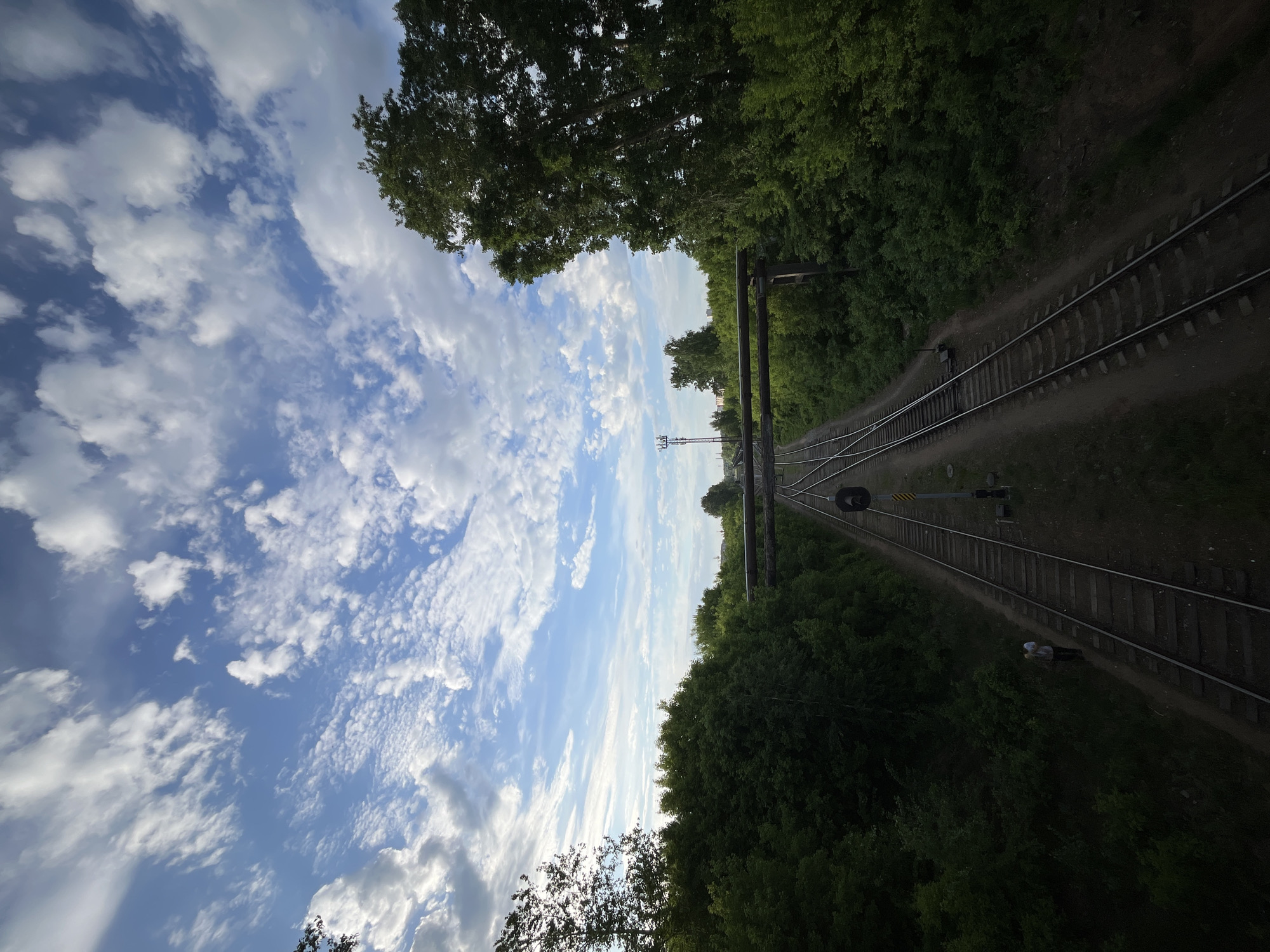 The image depicts a section of railway tracks curving through a wooded area in Chaikovsky, Russia, viewed from an elevated perspective. The sky is visible on the left, featuring blue patches and scattered white clouds. On either side of the tracks are dense green trees. An overhead structure spans the tracks. A switching mechanism is visible near the tracks. A cell tower is visible in the background.