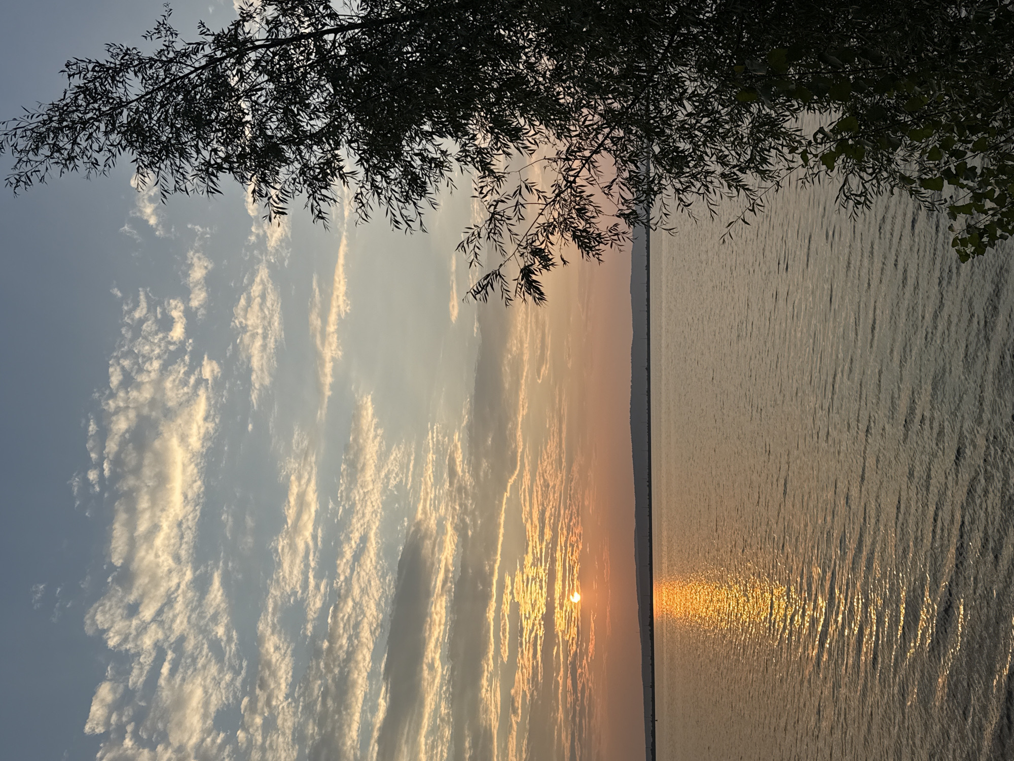 A sunset over the Kama River in Chaikovsky, Russia, casts a warm glow on the water and the sky. The sun, partially obscured by clouds, creates a shimmering reflection on the rippling surface of the river. The sky is a blend of soft blues and oranges, with scattered clouds tinged with the golden light of the setting sun. On the right side of the frame, the silhouette of a leafy tree branches out, its dark foliage contrasting with the vibrant sky and water. The horizon line is marked by a distant, low-lying landmass, hinting at the expanse of the cityscape of Chaikovsky. There are no people or animals visible in the scene. The overall atmosphere is tranquil and serene, capturing the beauty of a natural landscape at dusk.