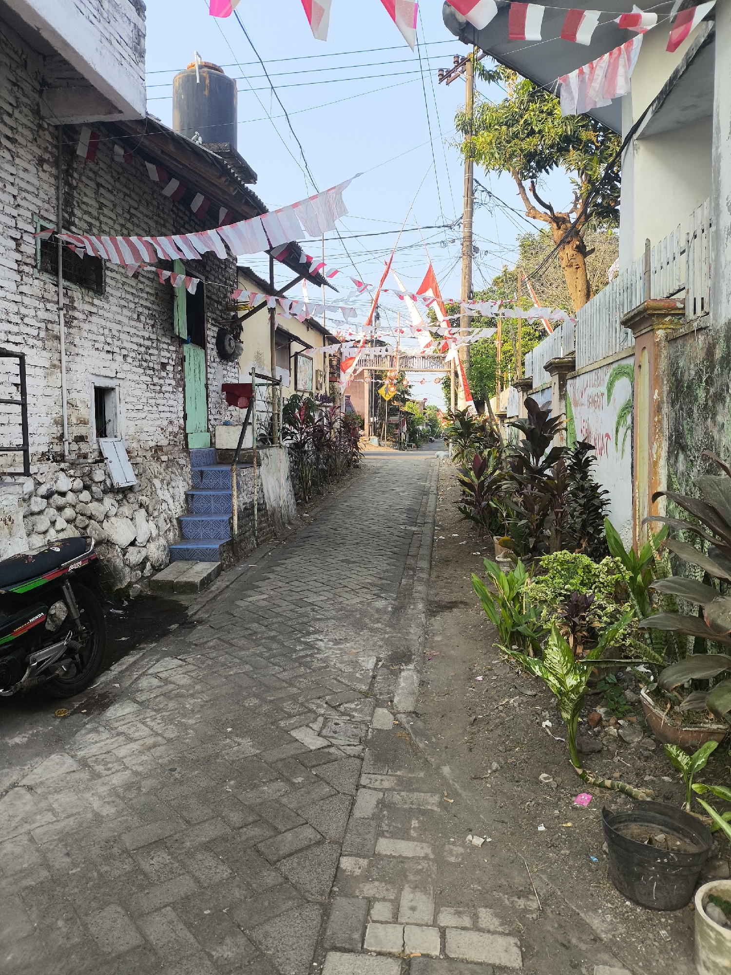 The image shows a narrow, paved alleyway in the city of Citrodiwangsan, Indonesia, lined with buildings and vegetation. The alley is decorated with numerous red and white triangular flags, suggesting a celebration or national holiday.

On the left side of the alley, a two-story building with a white brick facade and a stone foundation is visible. A green door and blue tiled stairs lead up to the entrance. A motorcycle is parked to the left of the stairs. A large water tank is located on the roof of the building.

The right side of the alley is bordered by a wall with a faded mural. A row of various plants, including large-leafed tropical plants, are planted along the wall. Several potted plants are also present.

The alleyway itself is paved with interlocking bricks, and appears to be a pedestrian walkway with some vehicular access. Power lines and poles are visible overhead. The sky is clear and blue, and the lighting suggests it is daytime, possibly late afternoon given the shadows. There are no people visible in the image.