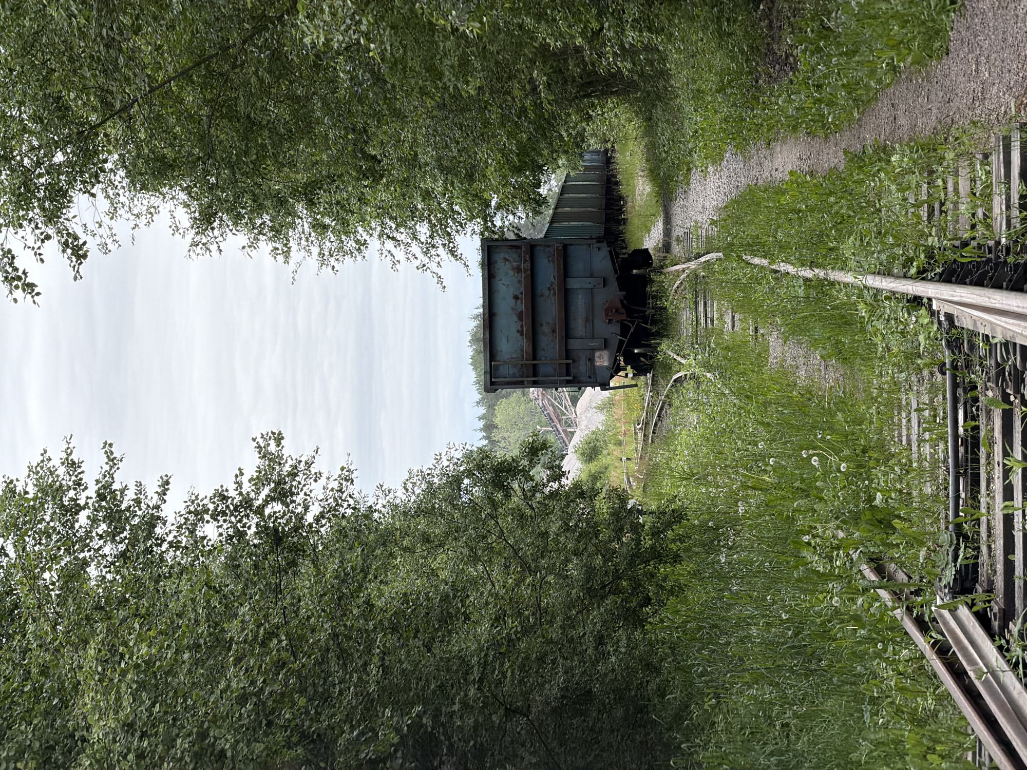A weathered, blue-green freight train sits on overgrown train tracks in Kuznechnoye, Russia. The train cars are lined up, disappearing into the distance, bordered by dense green foliage on either side. The tracks themselves are partially obscured by tall grass and wildflowers. In the background, industrial structures, possibly related to mining or quarrying, are visible, with conveyors and piles of material. The sky is overcast with a pale, cloudy expanse. The overall scene suggests an abandoned or disused industrial area reclaimed by nature.