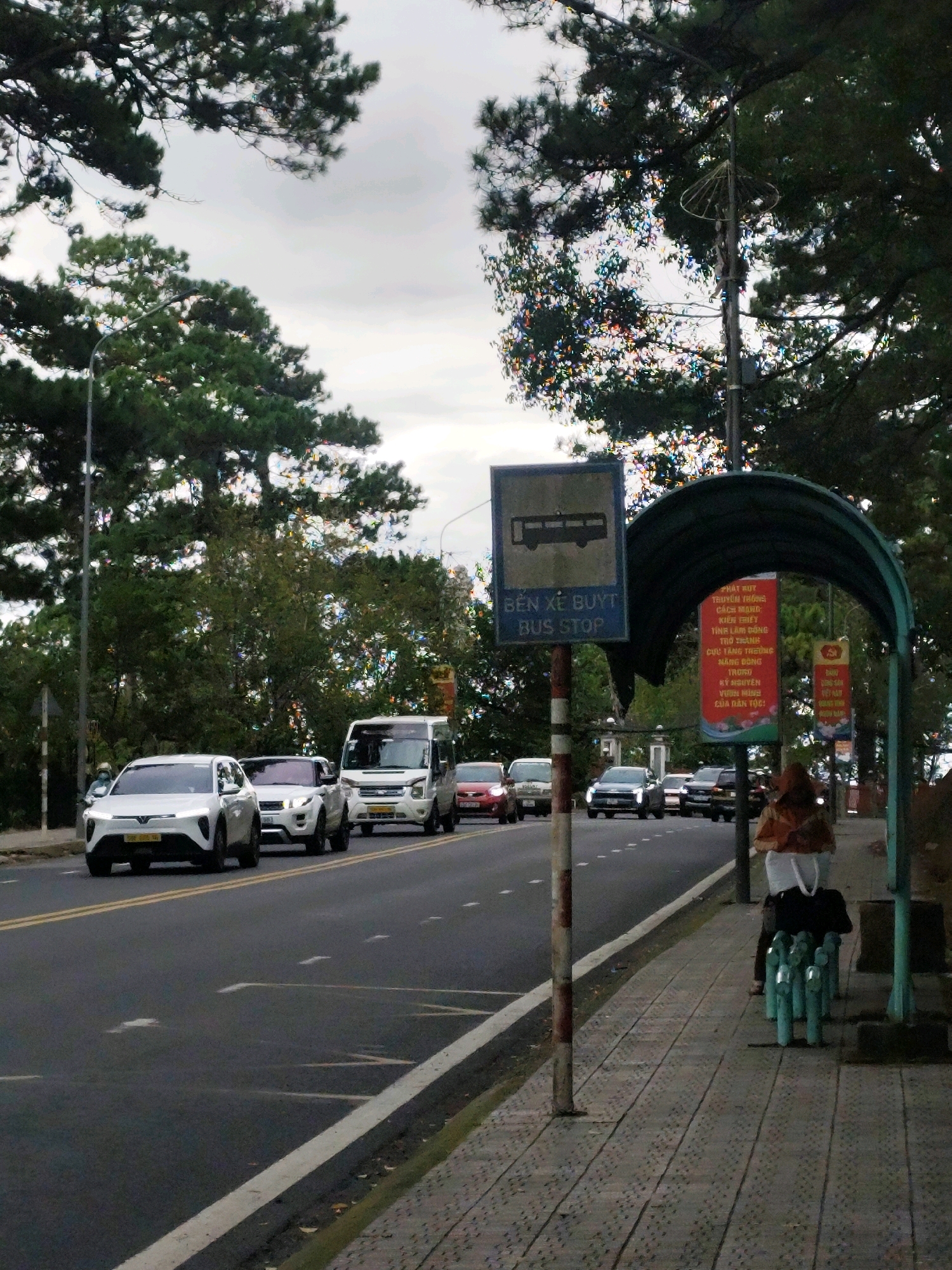The image shows a street scene in Da Lat, Vietnam. On the right side of the image is a bus stop with a green shelter. A person wearing an orange jacket and carrying a white bag is standing at the bus stop. Several cars are driving on the road. A bus stop sign with Vietnamese and English text is visible. The road is paved and has yellow and white markings. Trees are visible on the left side of the image. The sky is overcast.