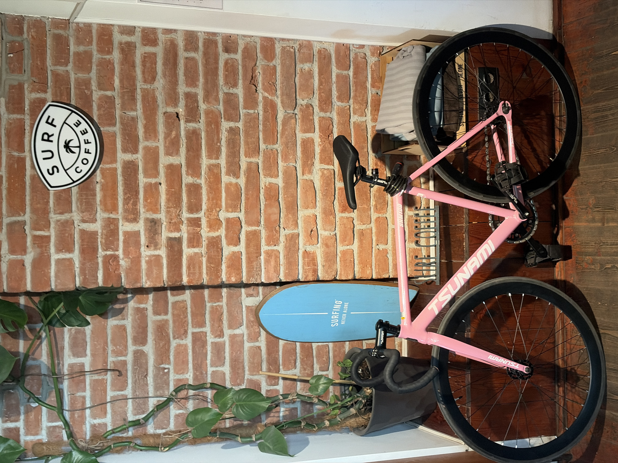 The image depicts a bicycle, specifically a pink "Tsunami" brand track bike, hanging on a brick wall. Adjacent to the bicycle, there is a surfboard with the text "SURFING NEVER ALONE". A "Surf Coffee" sign is mounted on the wall as well. In the lower portion of the image, there is a potted plant with trailing vines. No people are visible. The location and city of Minsk, Belarus cannot be determined from the image.