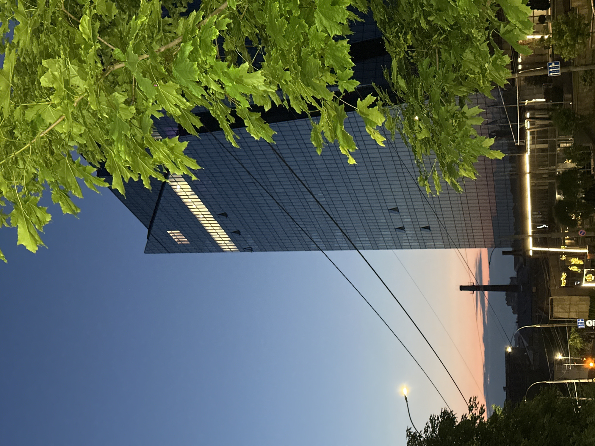 The image depicts a view in Chișinău, Moldova, featuring a modern office building with a grid-like glass facade. The building is framed by green leaves in the foreground, suggesting a park or tree-lined street. The sky transitions from a dark blue to a lighter orange hue near the horizon, indicating either dawn or dusk. Electrical wires stretch across the sky, and streetlights are illuminated. In the background, blurred lights and signs suggest a bustling urban environment.